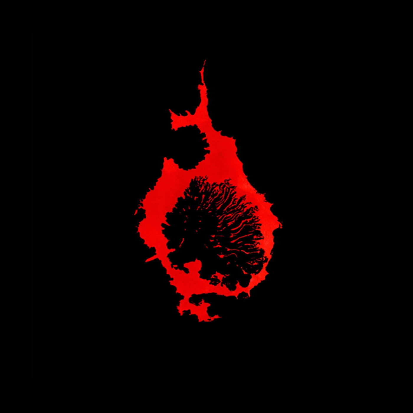 C. Diab Exit Rumination Vinyl Record