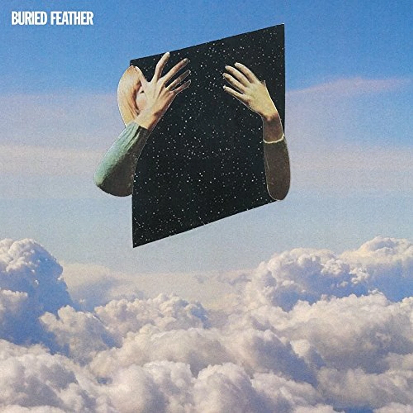 Buried Feather Vinyl Record
