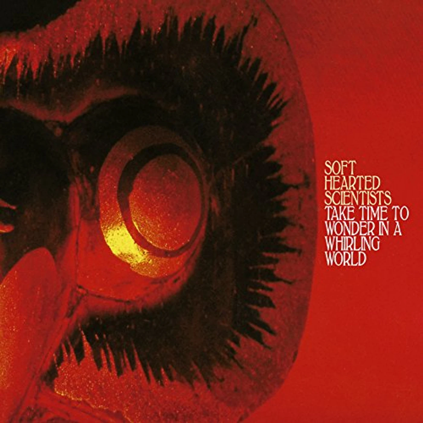 Soft Hearted Scientists Take Time To Wonder In A Whirling World Vinyl Record
