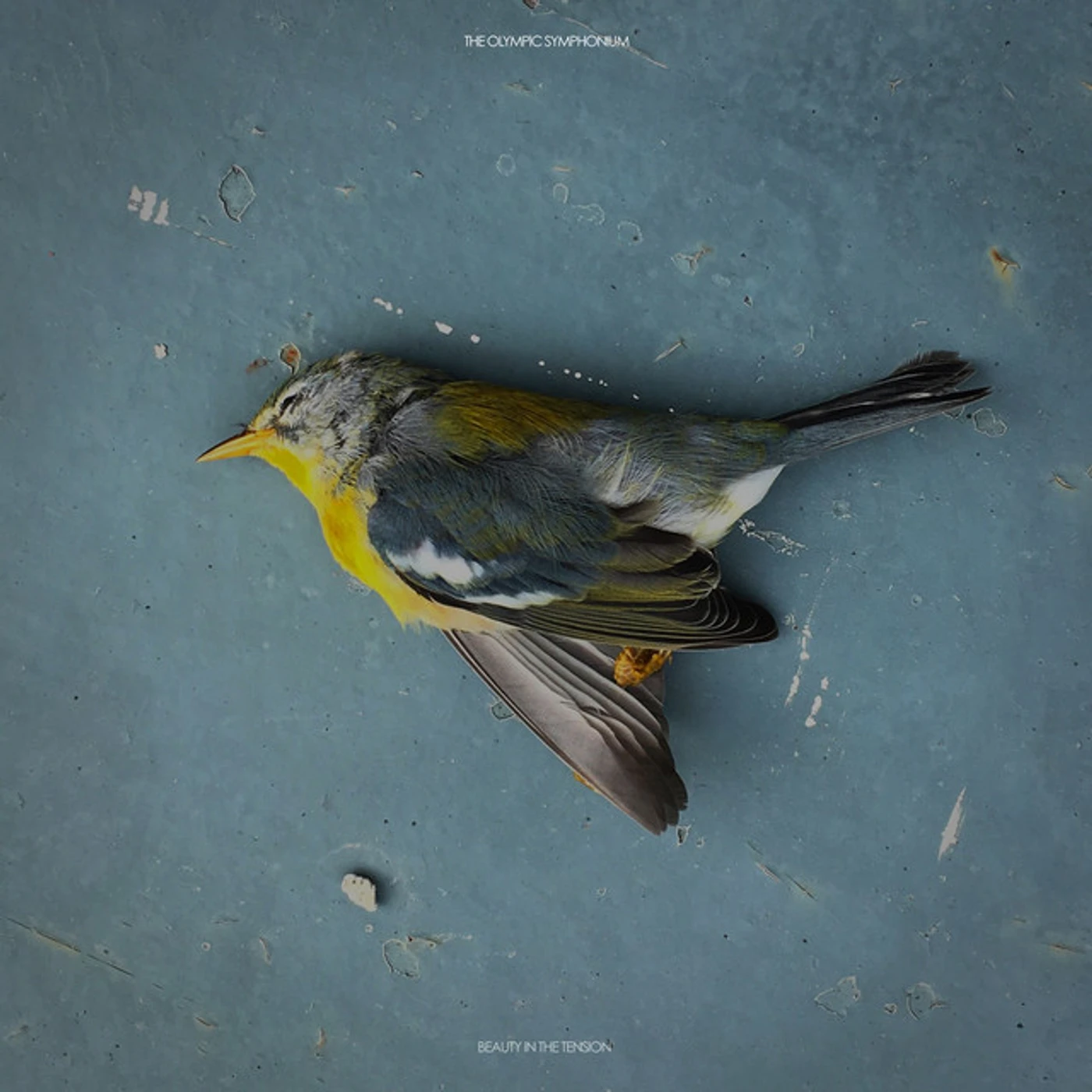 The Olympic Symphonium Beauty in the Tension Vinyl Record