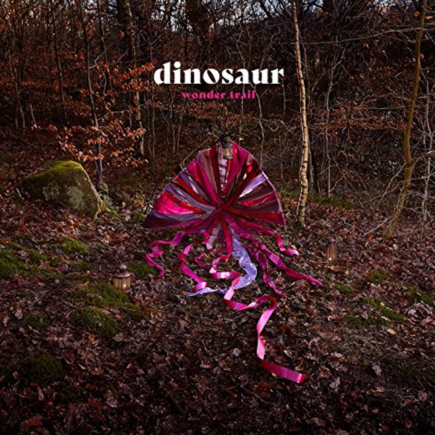 Dinosaur WONDER TRAIL CD