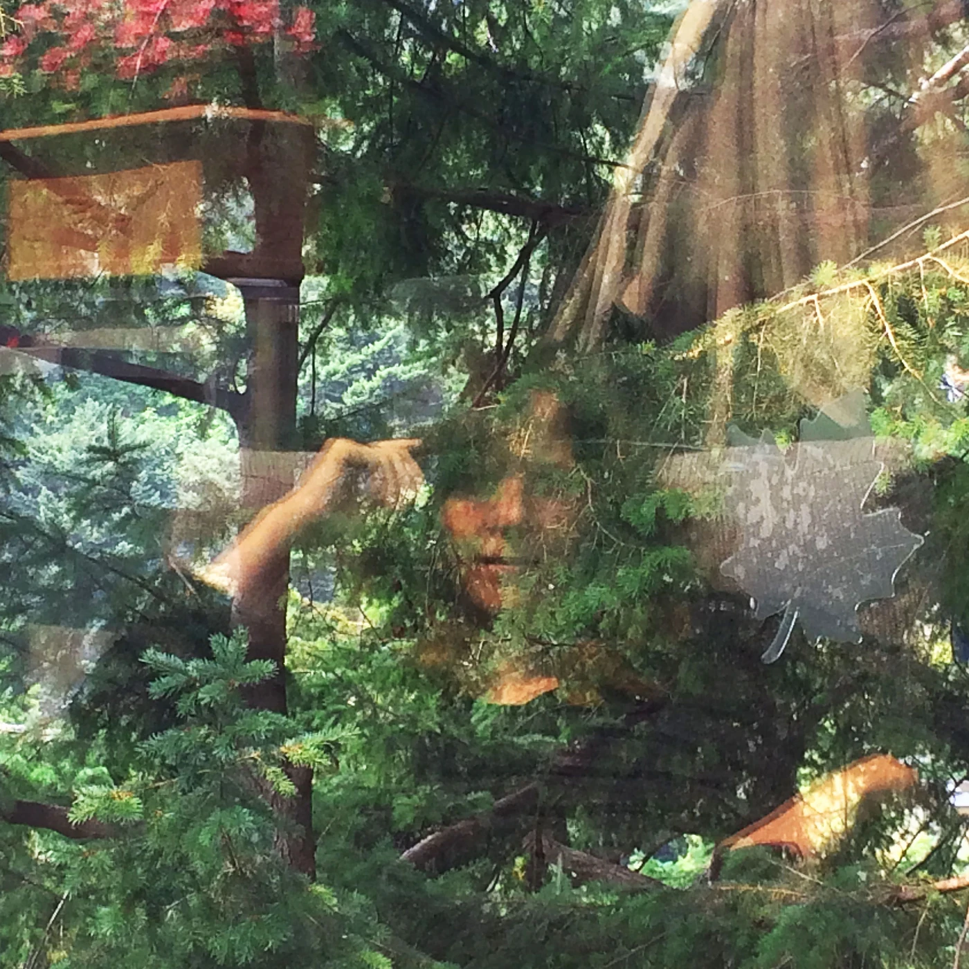 Jennifer Castle ANGELS OF DEATH CD