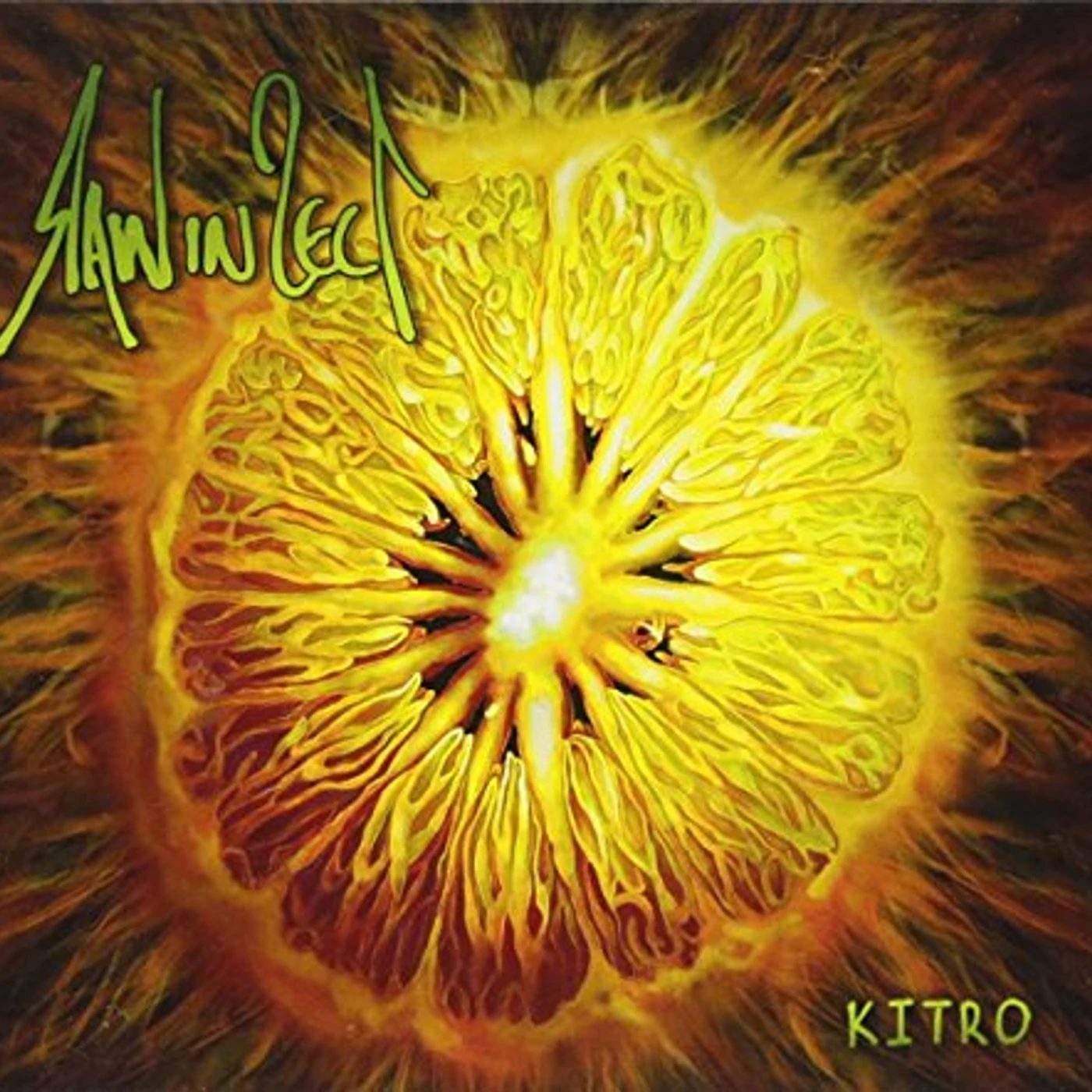 Raw In Sect KITRO CD