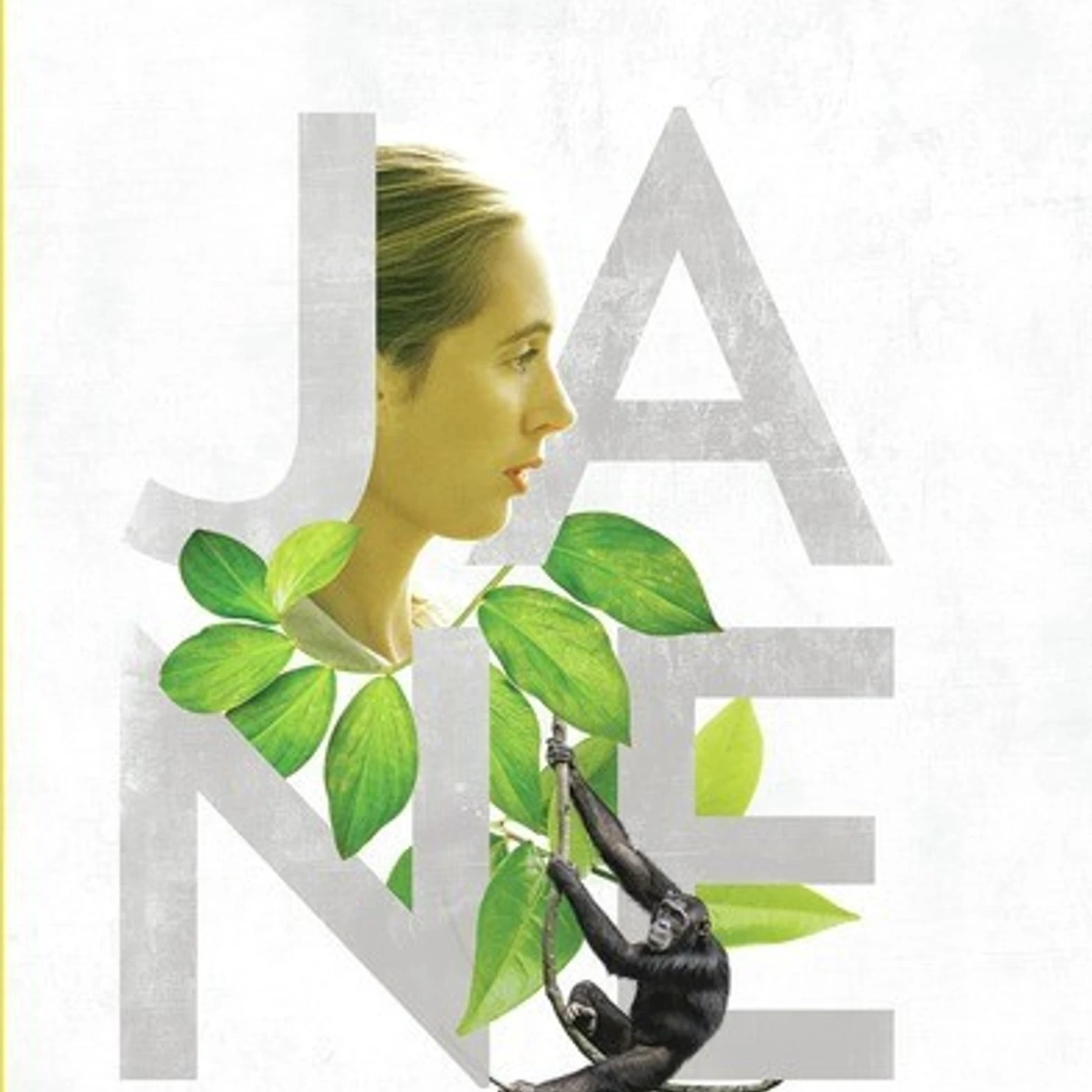 JANE DVD