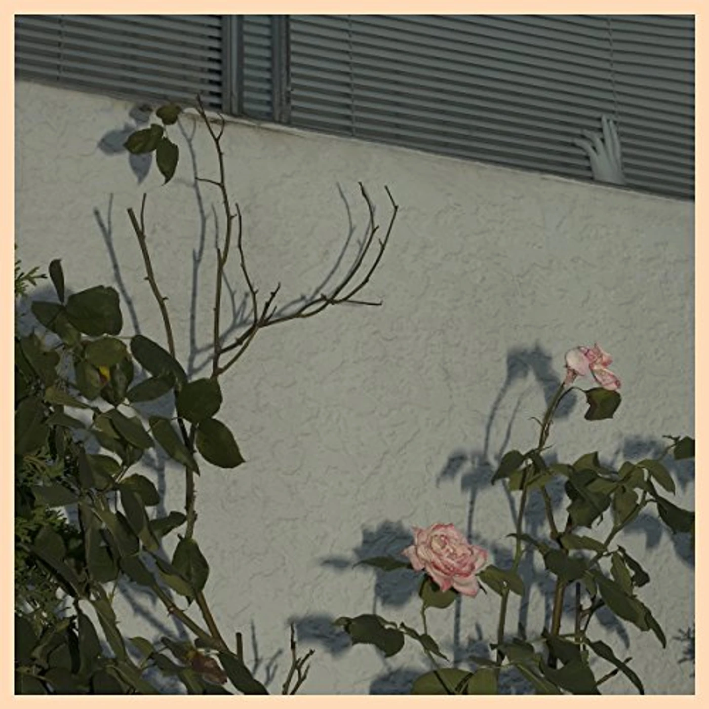 Soft Kill SAVIOR CD