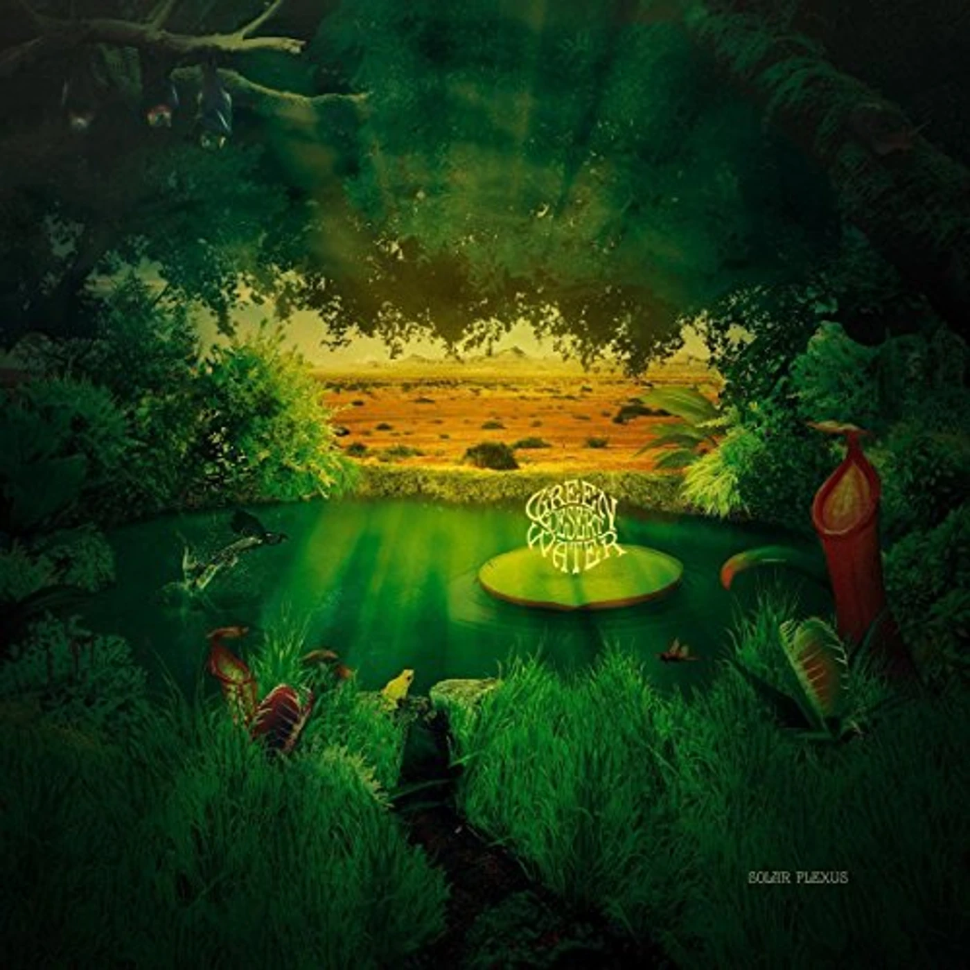 Green Desert Water Solar Plexus Vinyl Record