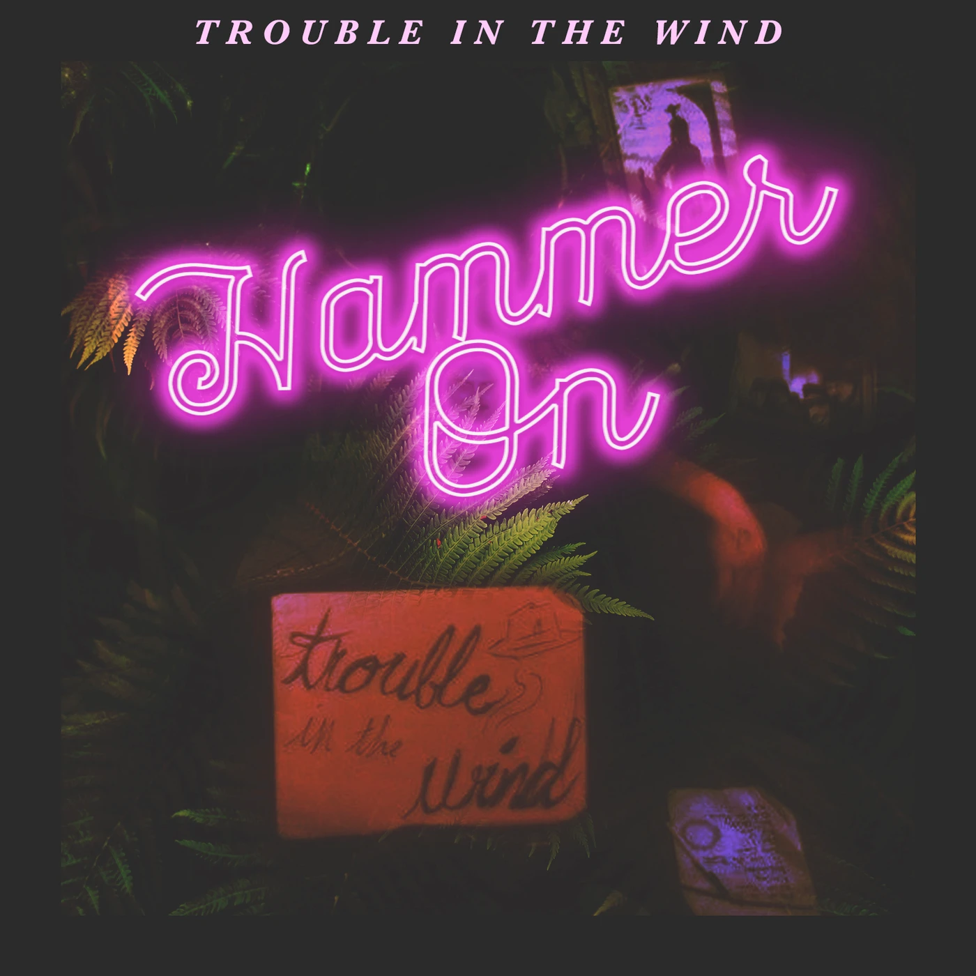 Trouble in the Wind HAMMER ON CD