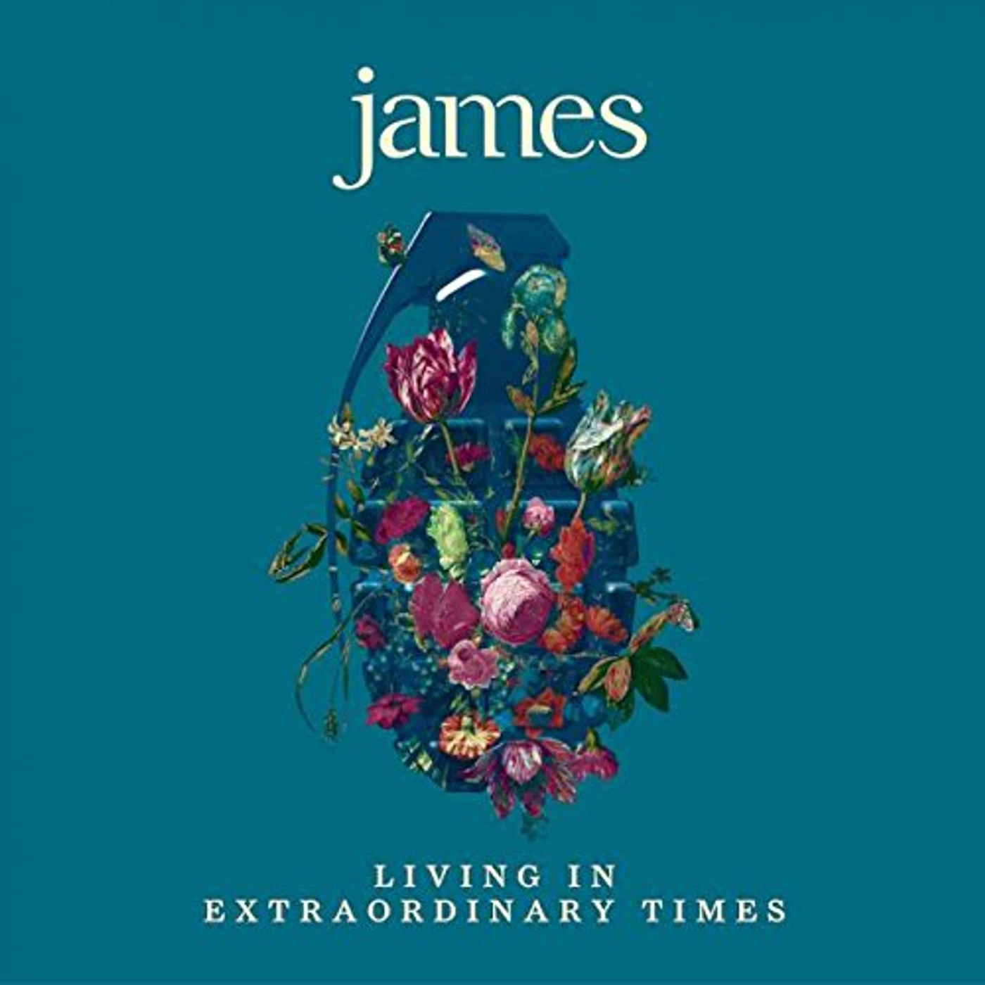 James LIVING IN EXTRAORDINARY TIMES CD