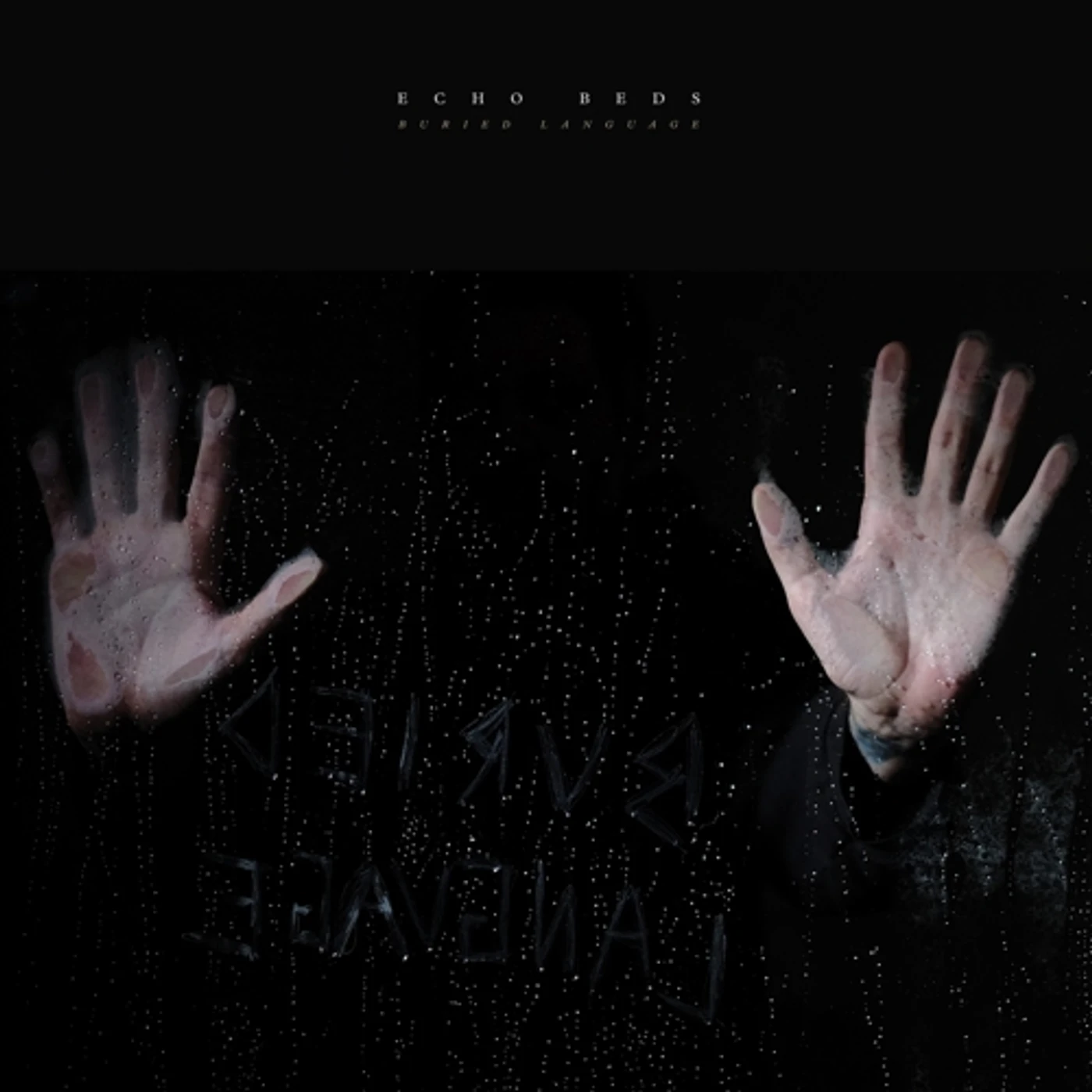 Echo Beds Buried Language Vinyl Record