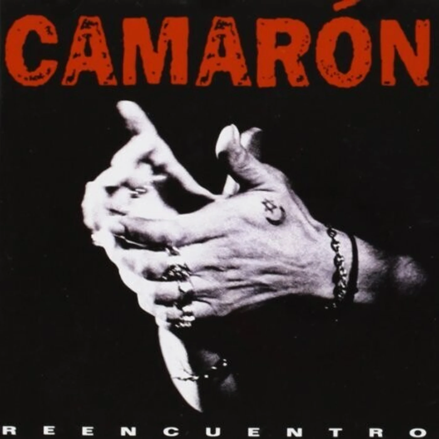 CAMARON REENCUENTRO CD