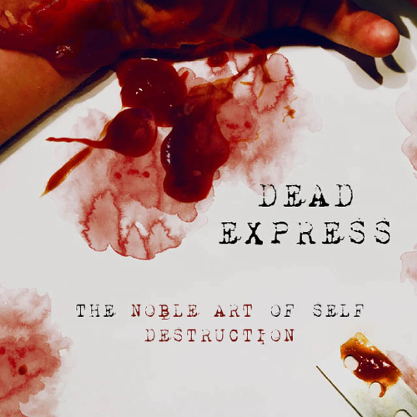 Dead Express NOBLE ART OF SELF DESTRUCTION Vinyl Record