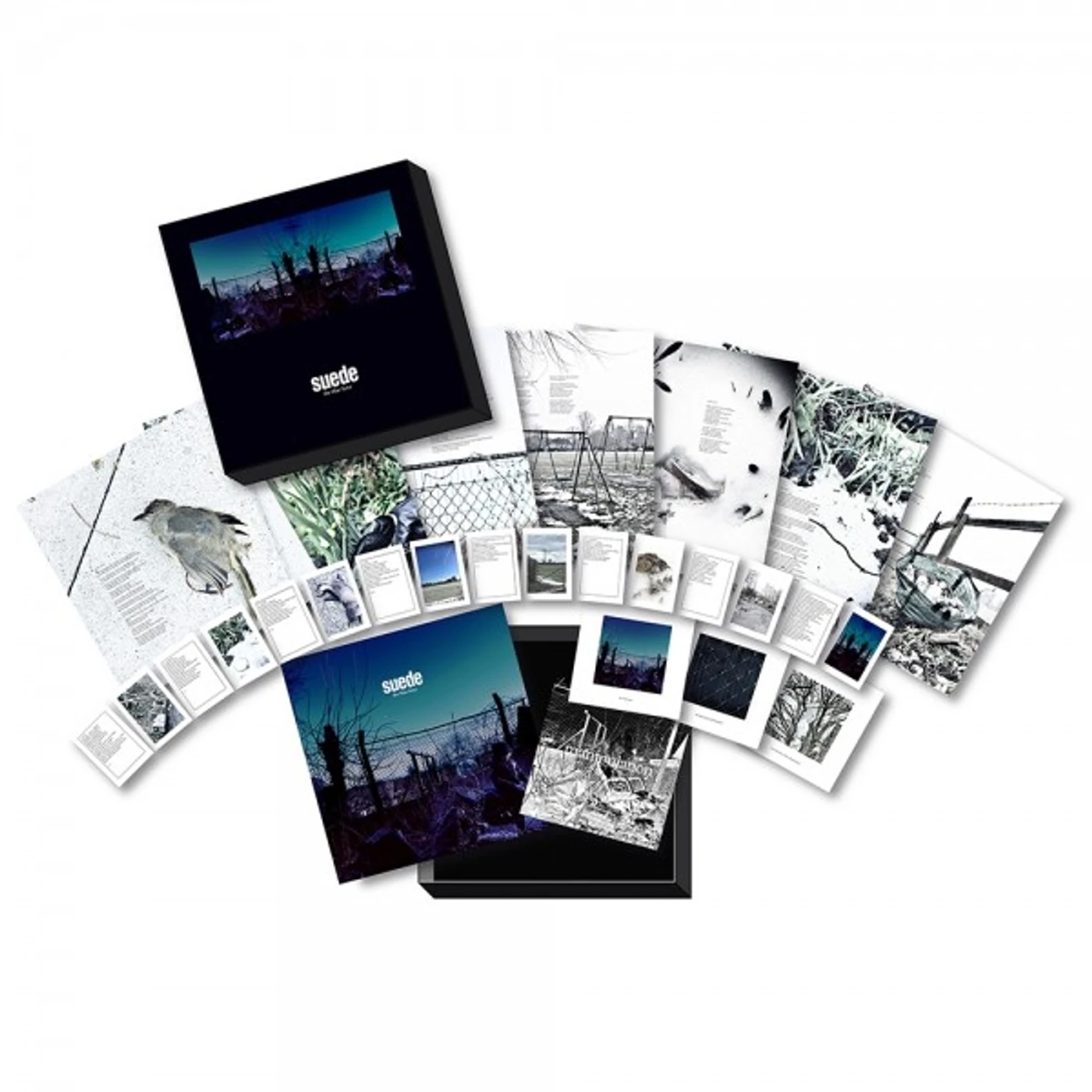 Suede BLUE HOUR Vinyl Record Box Set