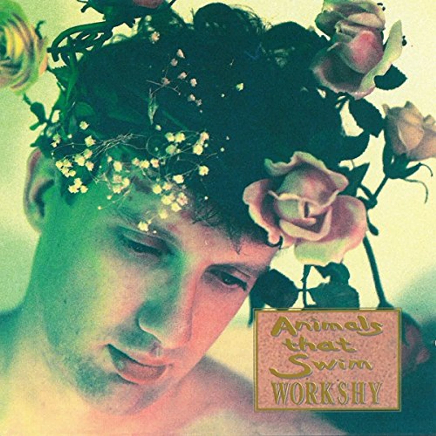 Animals That Swim Workshy Vinyl Record