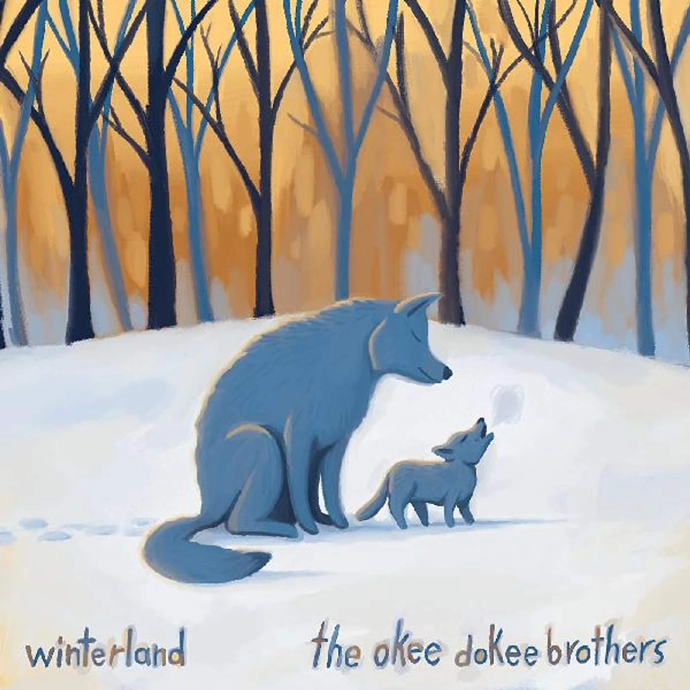 The Okee Dokee Brothers Winterland Vinyl Record