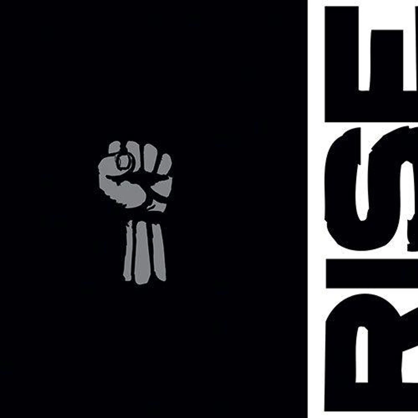 Rise Against CAREER VINYL BOOK Vinyl Record (8 Piece Box Set)