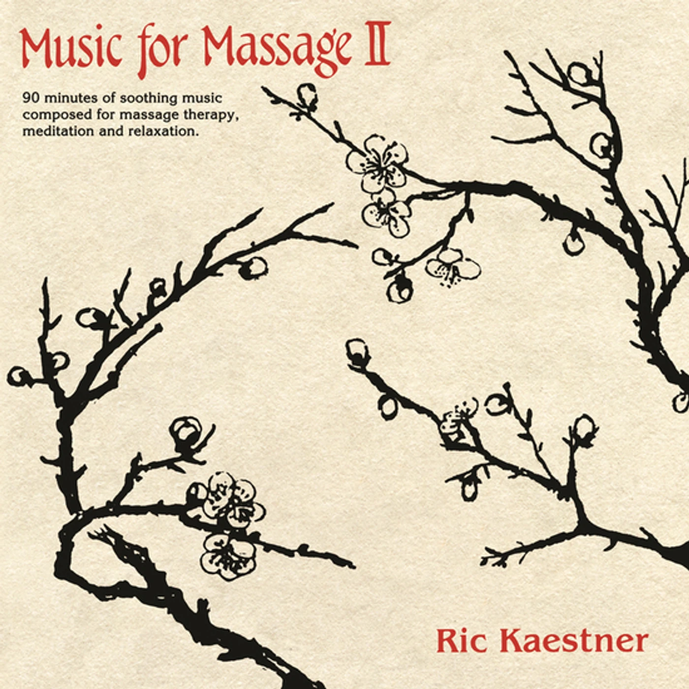 Ric Kaestner MUSIC FOR MASSAGE II CD