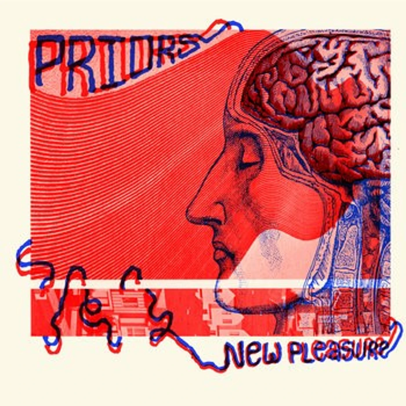 Priors New Pleasure Vinyl Record