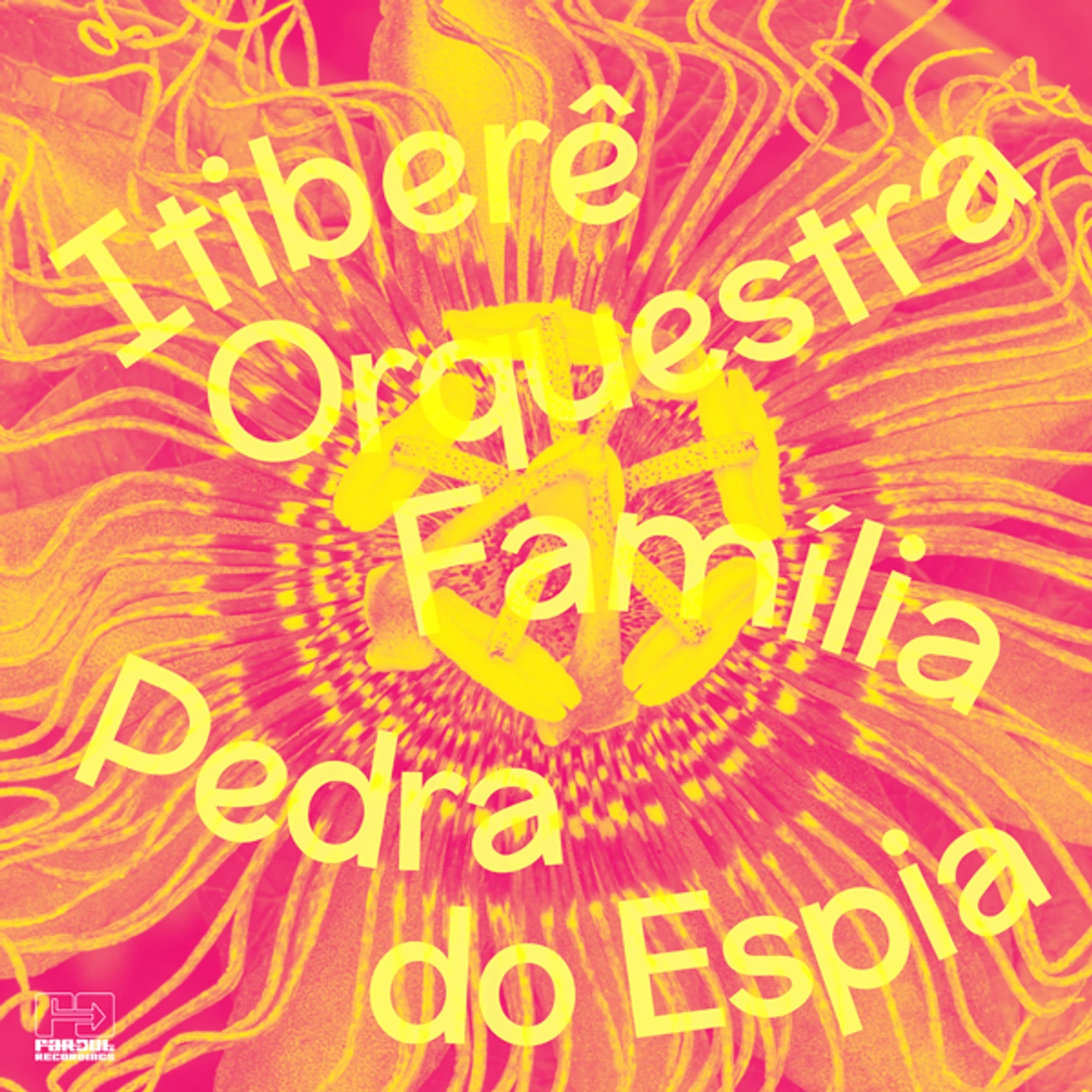 Itiberê Orquestra Família Pedra do Espia Vinyl Record