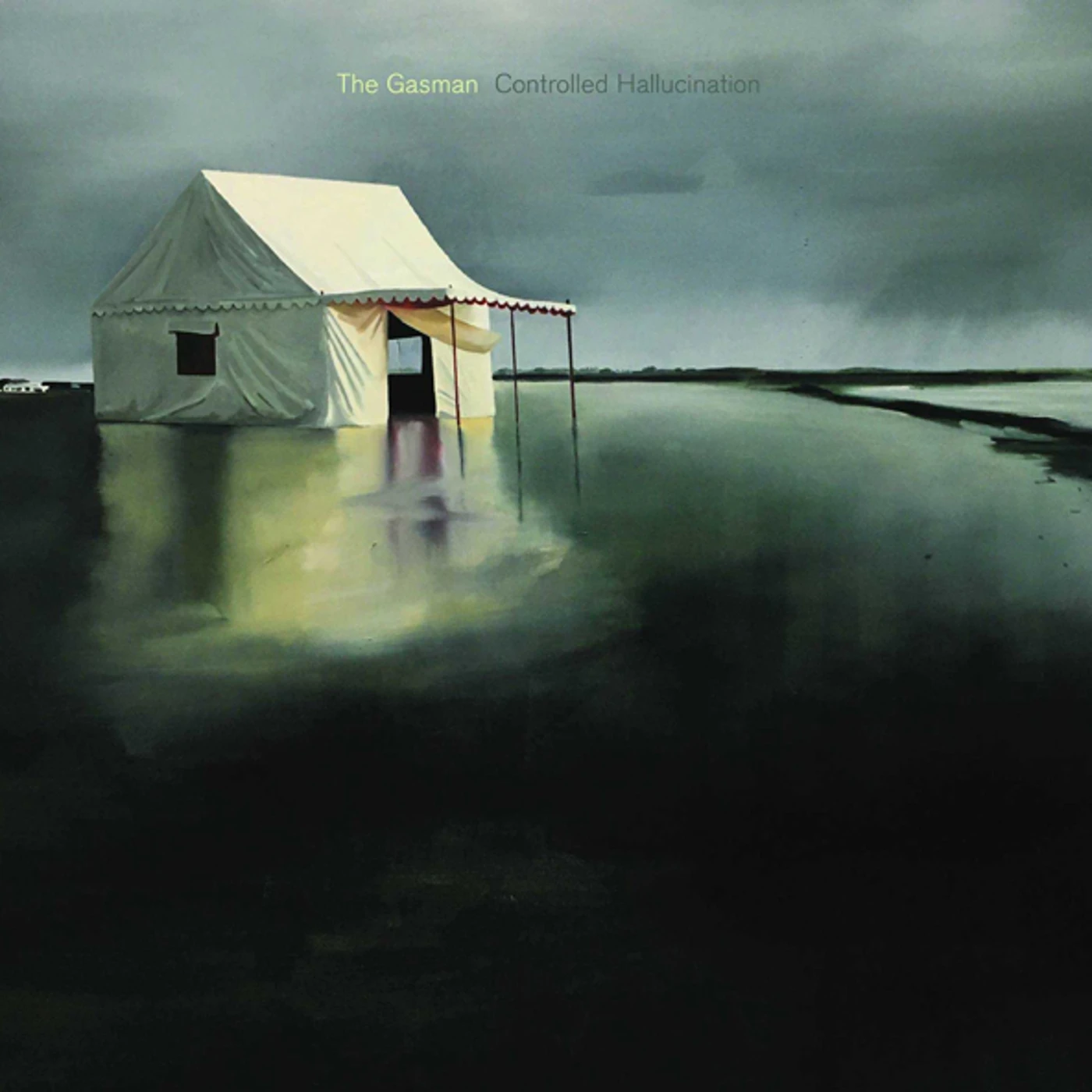 Gasman CONTROLLED HALLUCINATION CD