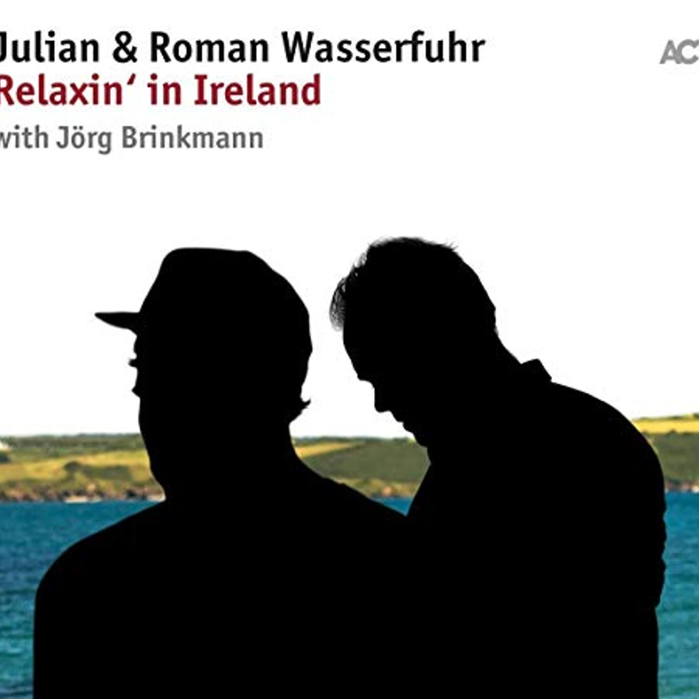 Julian & Roman Wasserfuhr RELAXIN IN IRELAND Vinyl Record