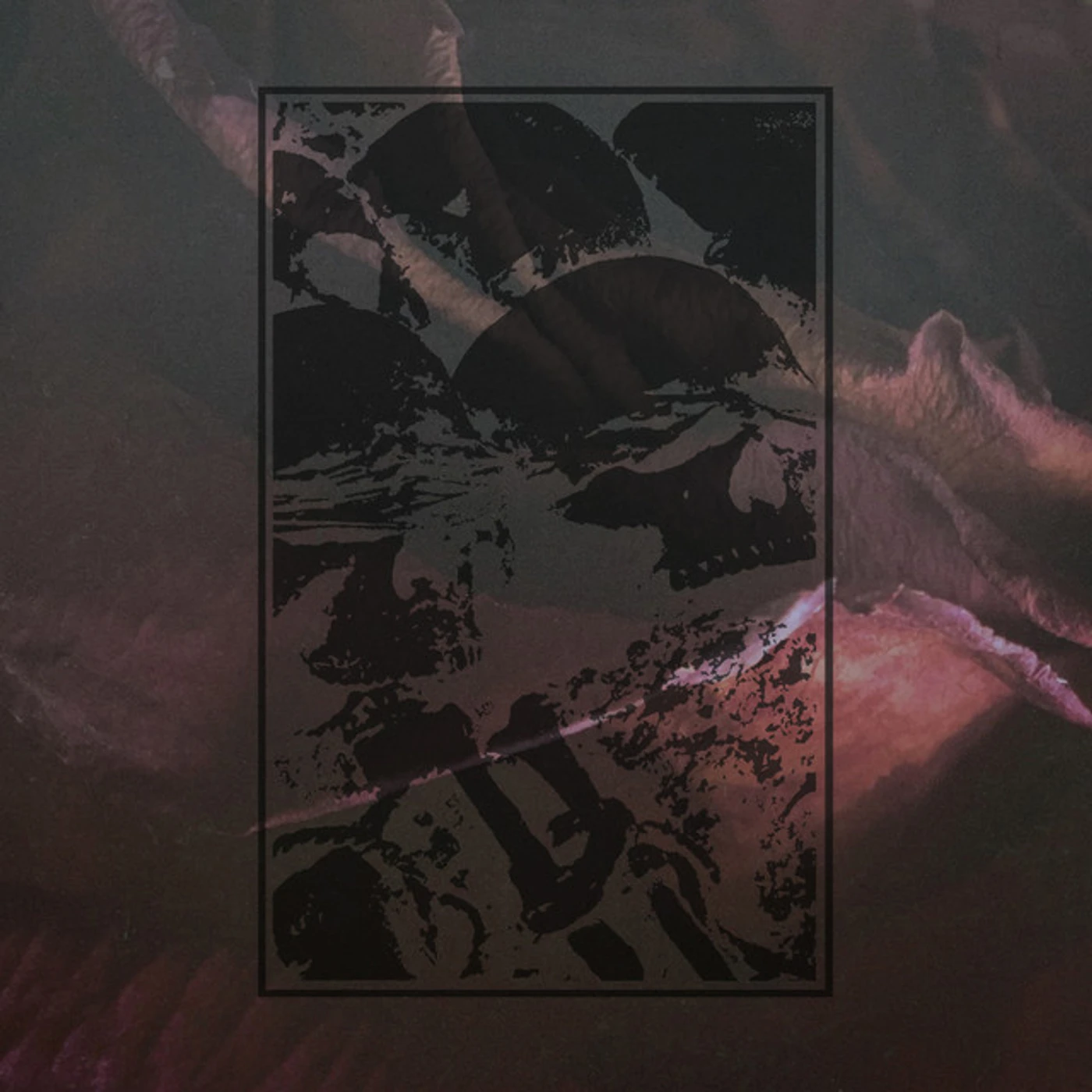 Dead To A Dying World Reprise Vinyl Record