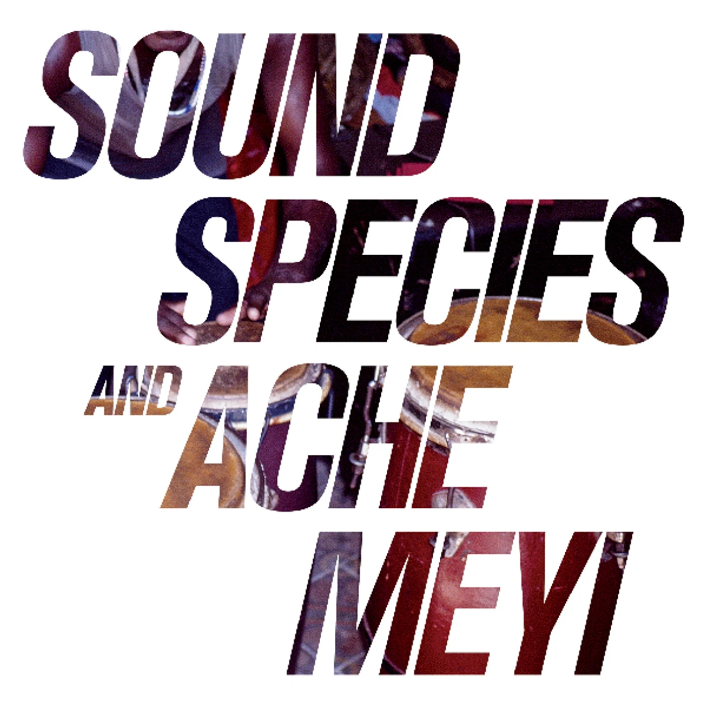 Soundspecies & Ache Meyi Soundspecies And Ache Meyi Vinyl Record