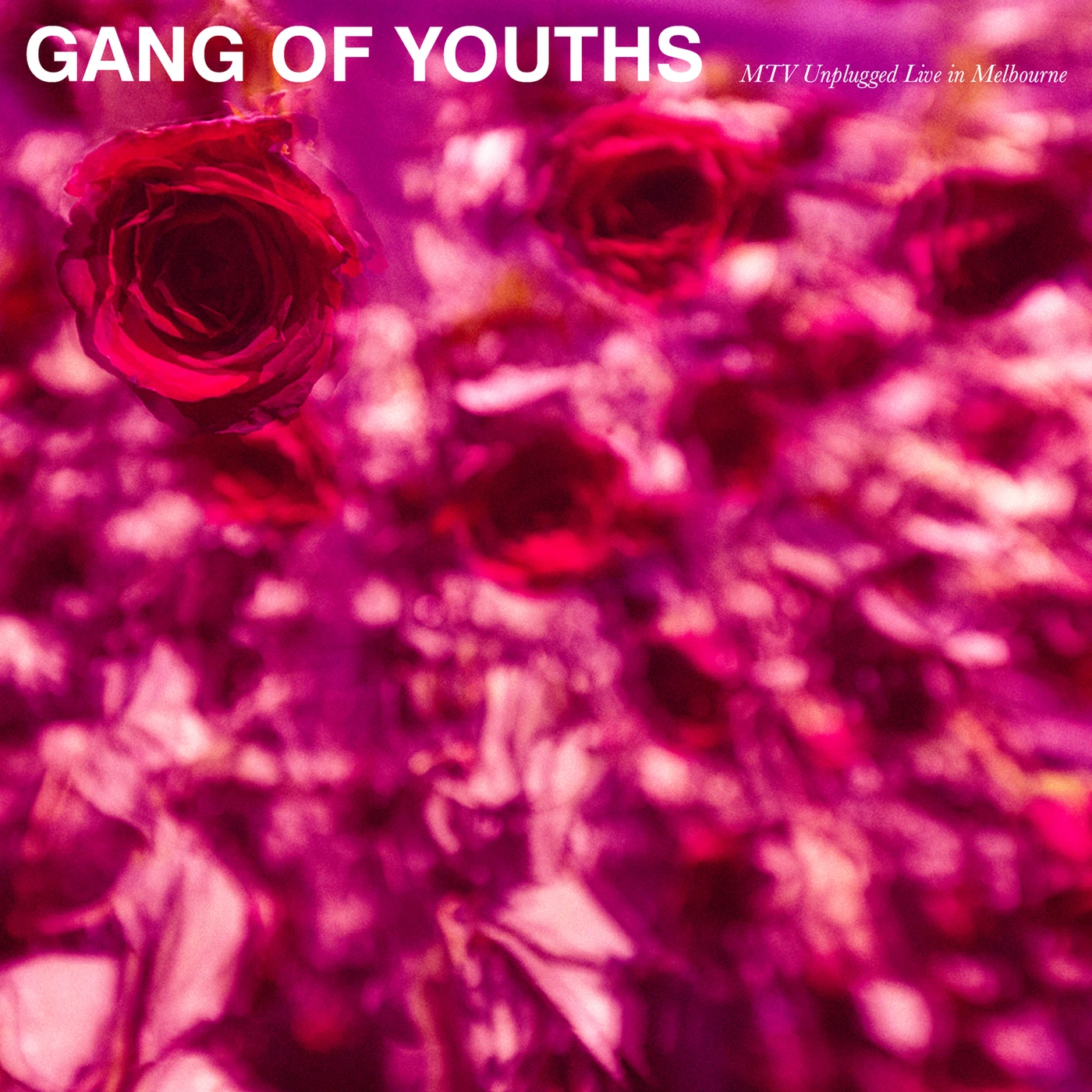 Gang of Youths MTV Unplugged (Live In Melbourne) Vinyl Record