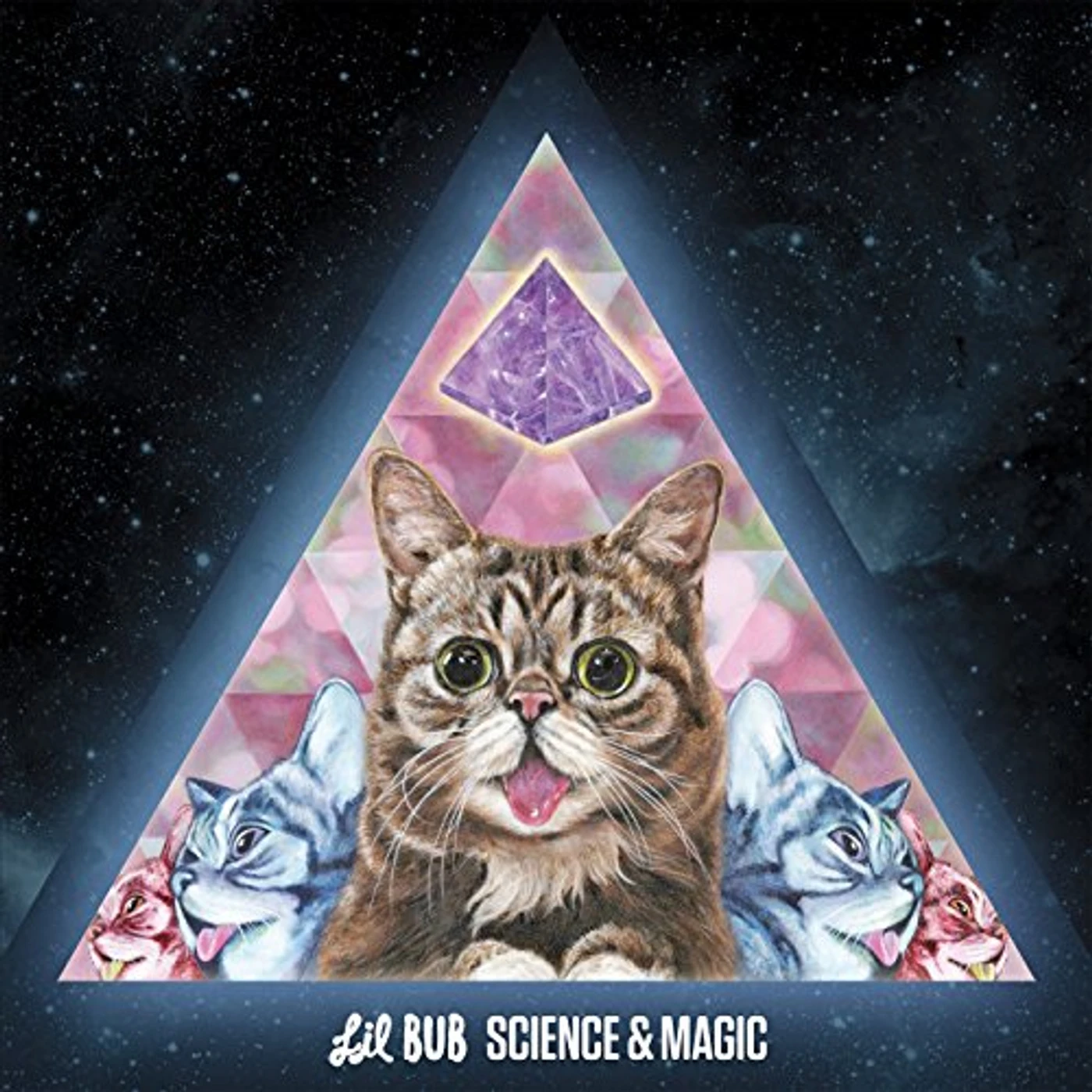 Lil Bub Science & Magic: A Soundtrack to the Universe Vinyl Record