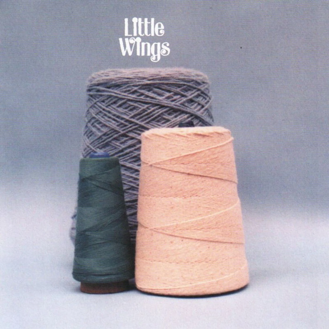 Little Wings WONDER CITY CD