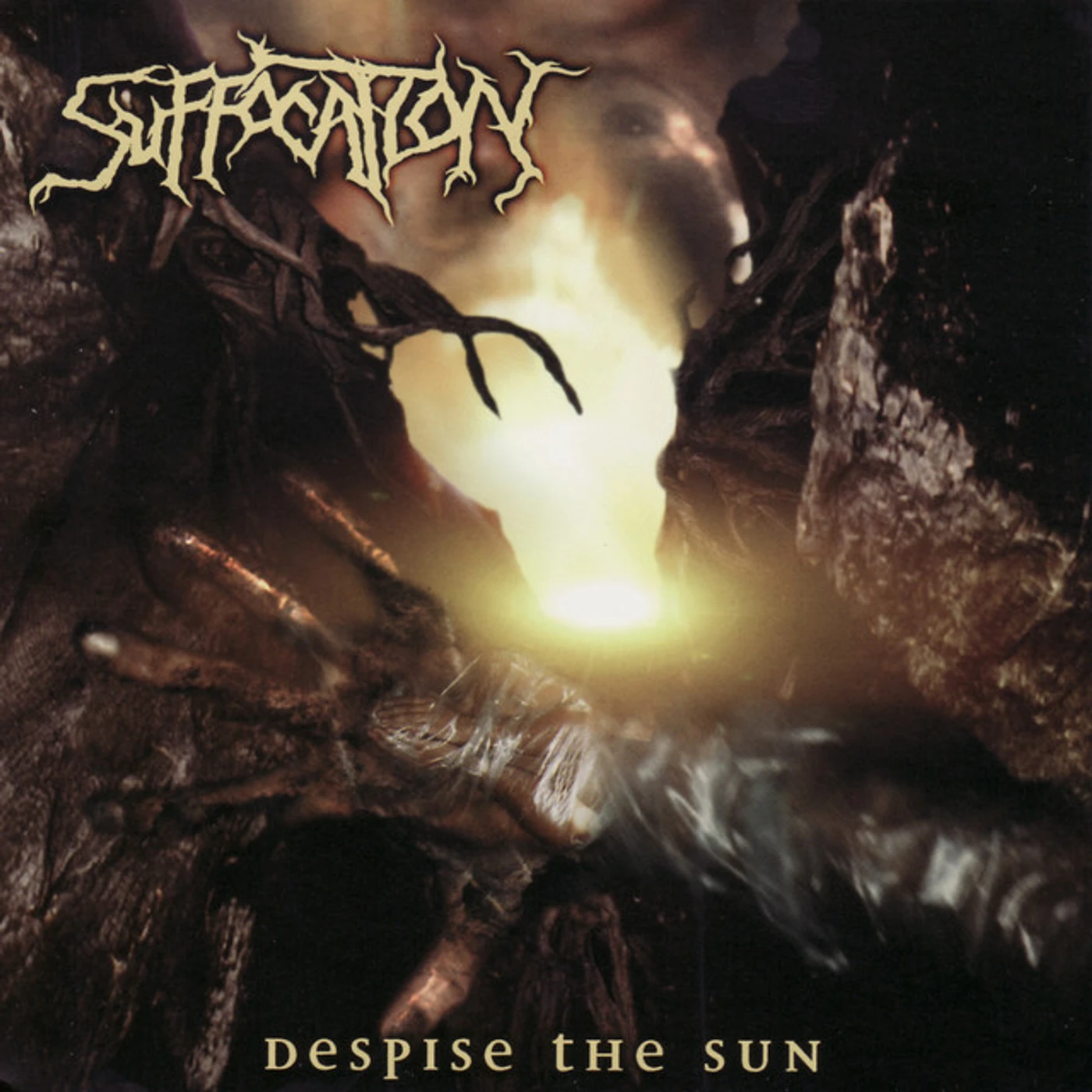 Suffocation Despise the Sun Vinyl Record