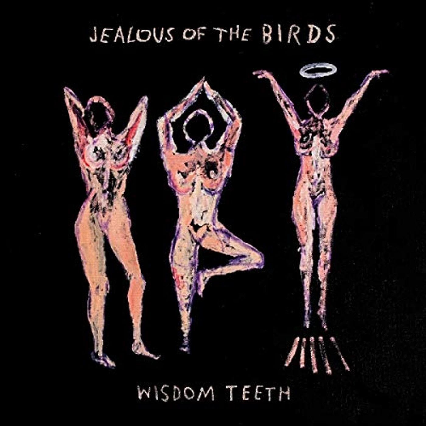 Jealous of the Birds WISDOM TEETH CD