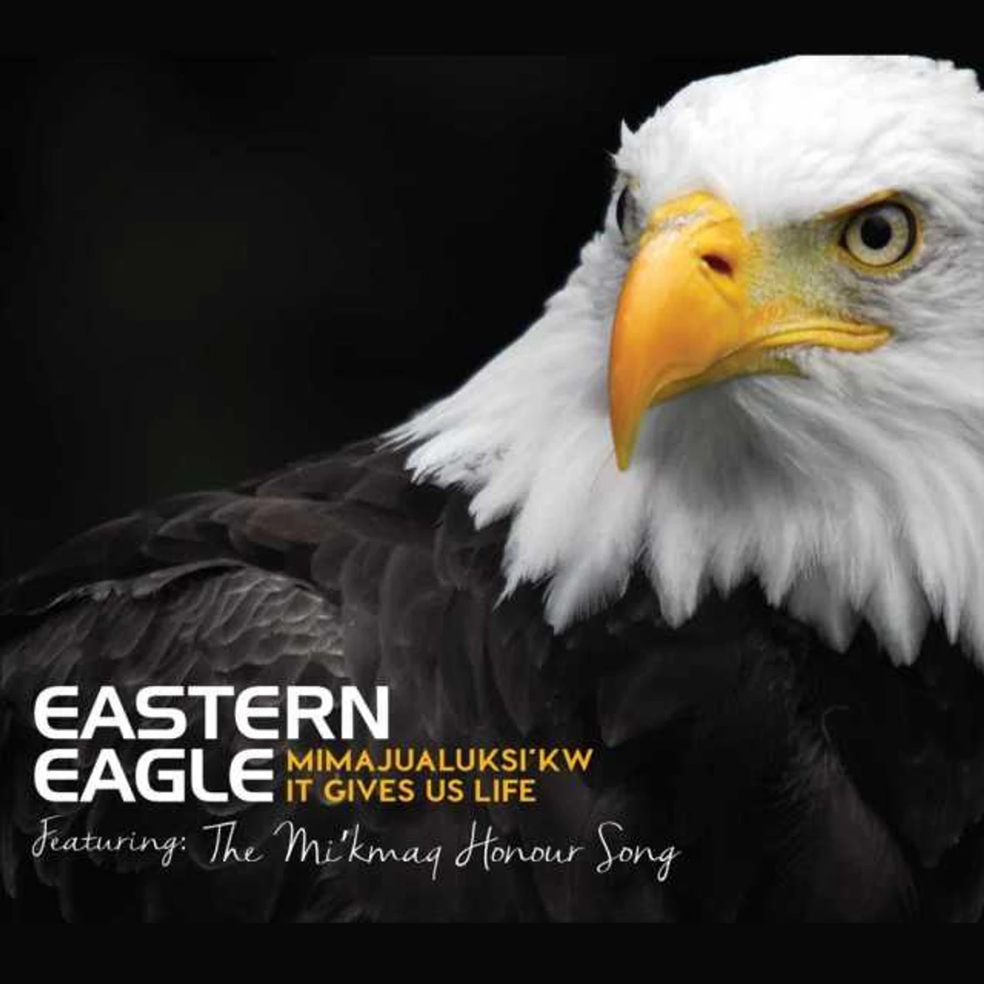 Eastern Eagle IT GIVES US LIFE: POWWOW CD