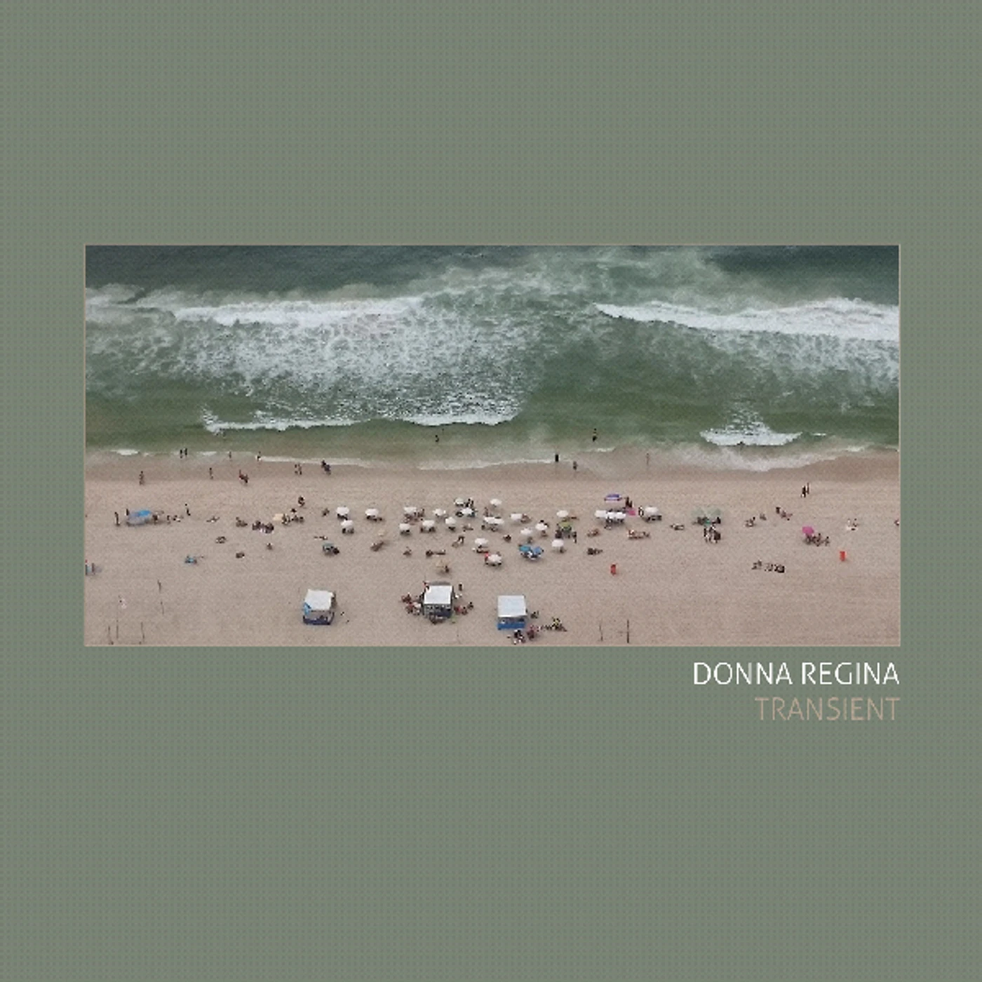 Donna Regina Transient Vinyl Record