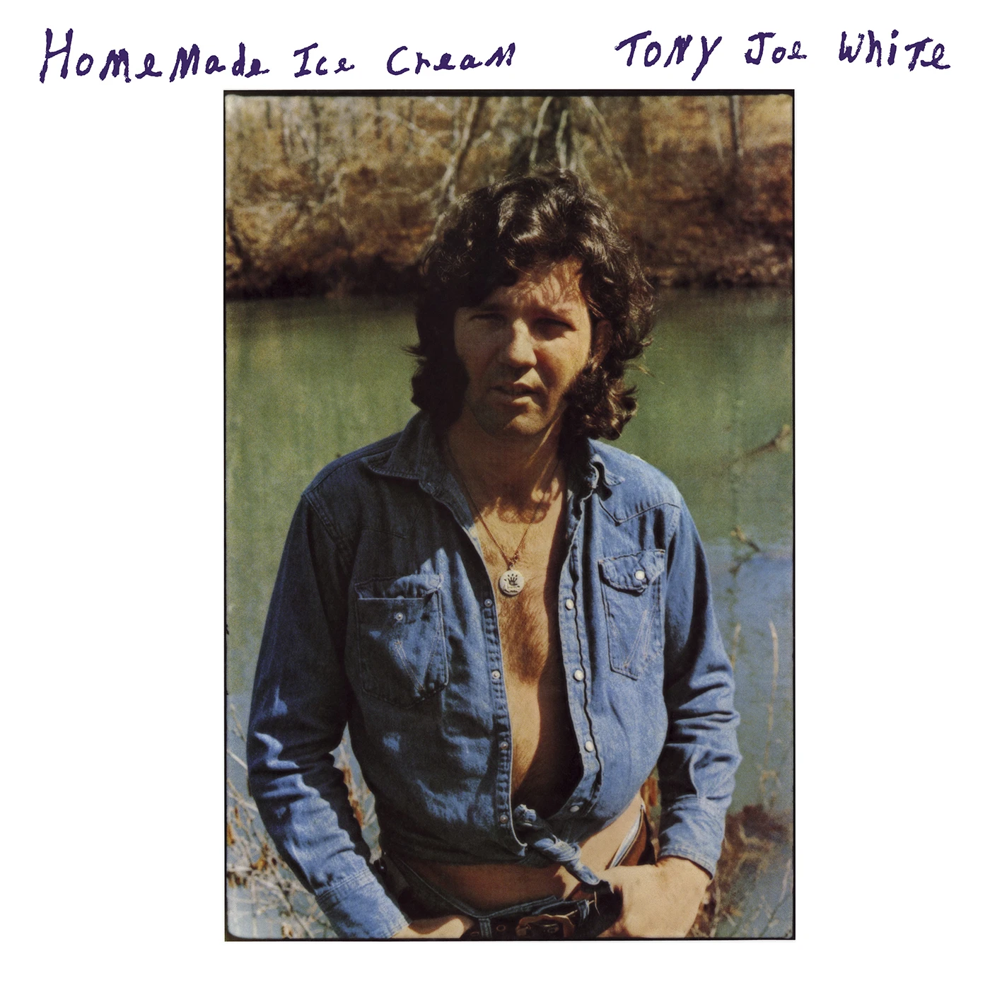 Tony Joe White HOMEMADE ICE CREAM Vinyl Record