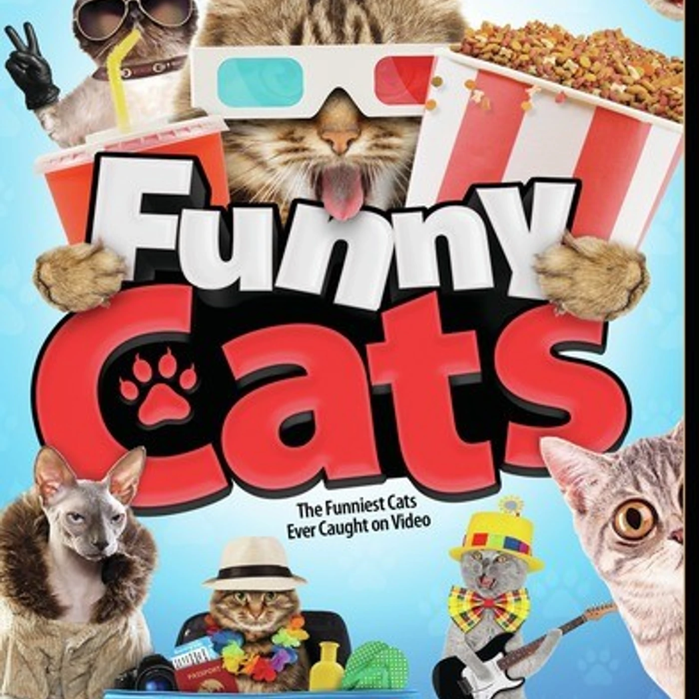 FUNNY CATS DVD