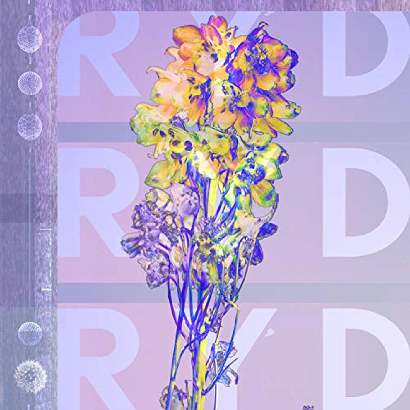RYD Vinyl Record