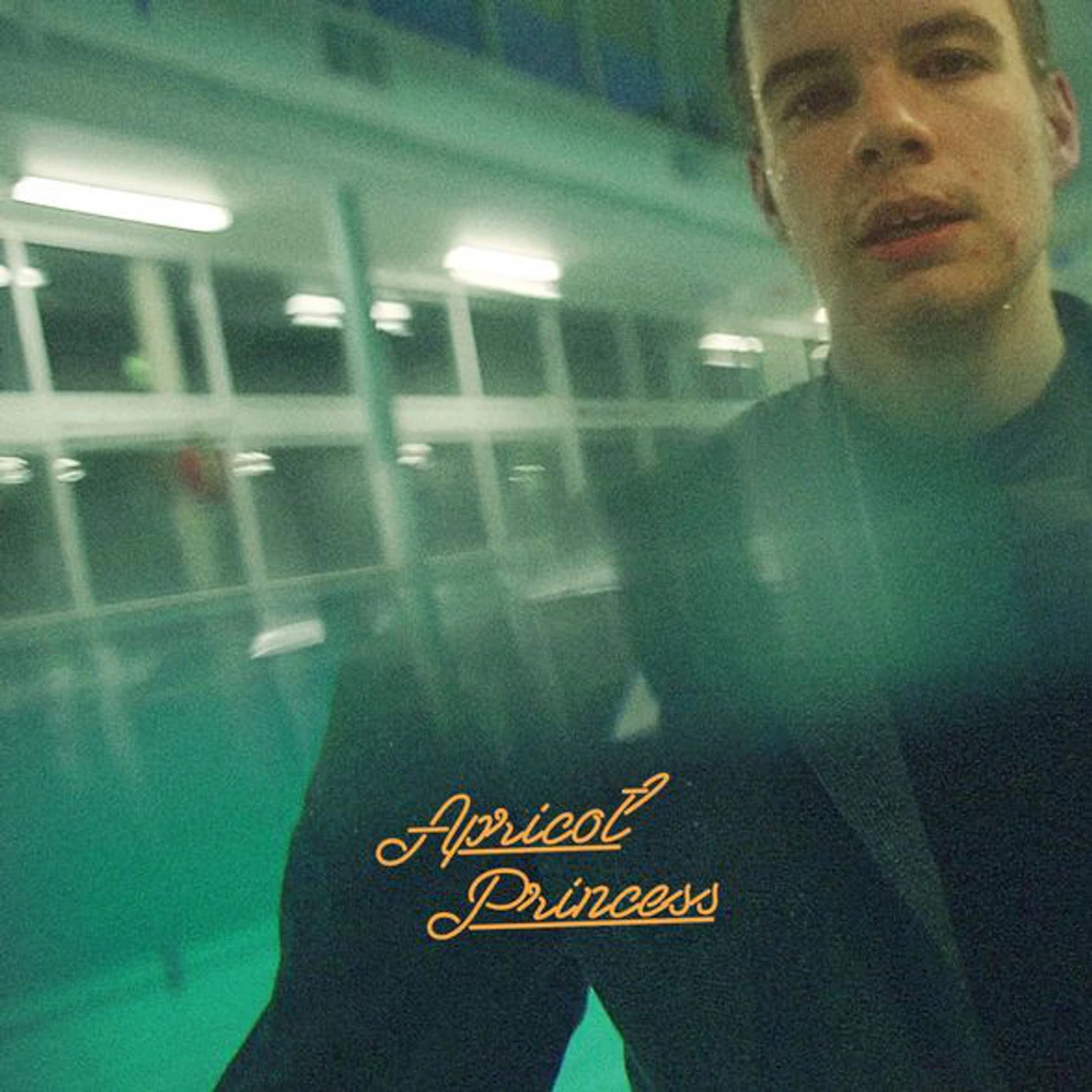 Rex Orange County APRICOT PRINCESS CD