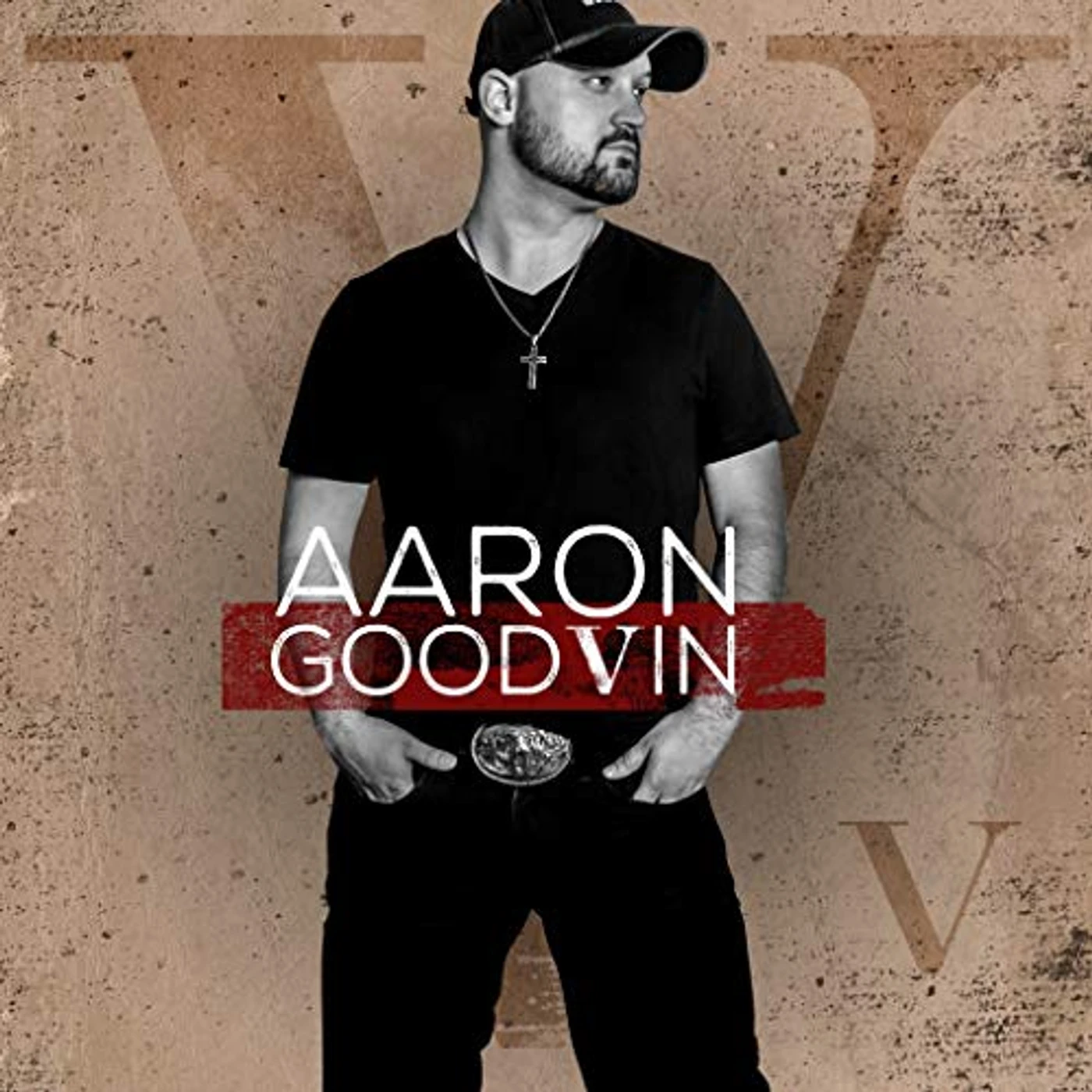 Aaron Goodvin V. CD