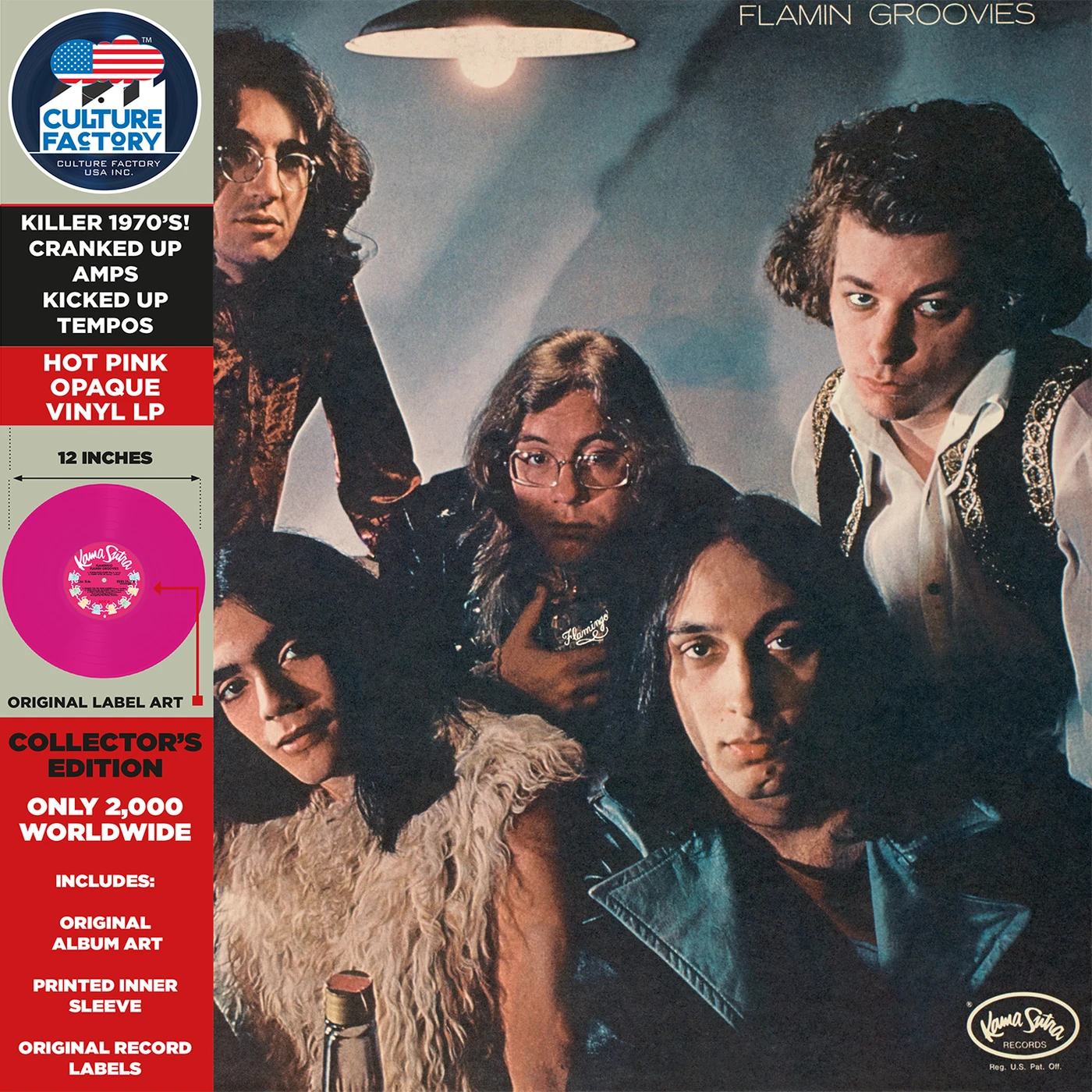 Flamin' Groovies Flamingo Vinyl Record