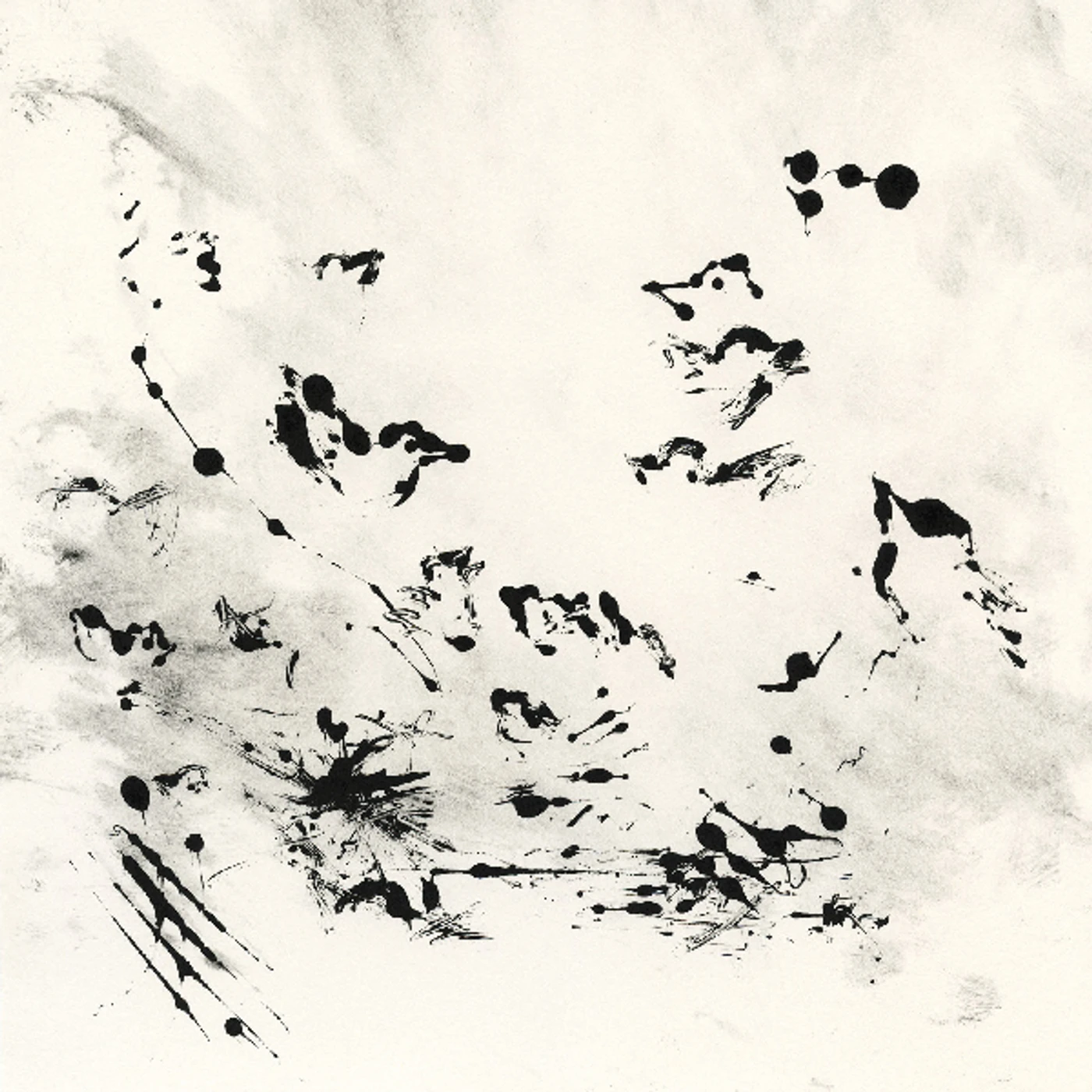 NEØV VOLANT CD
