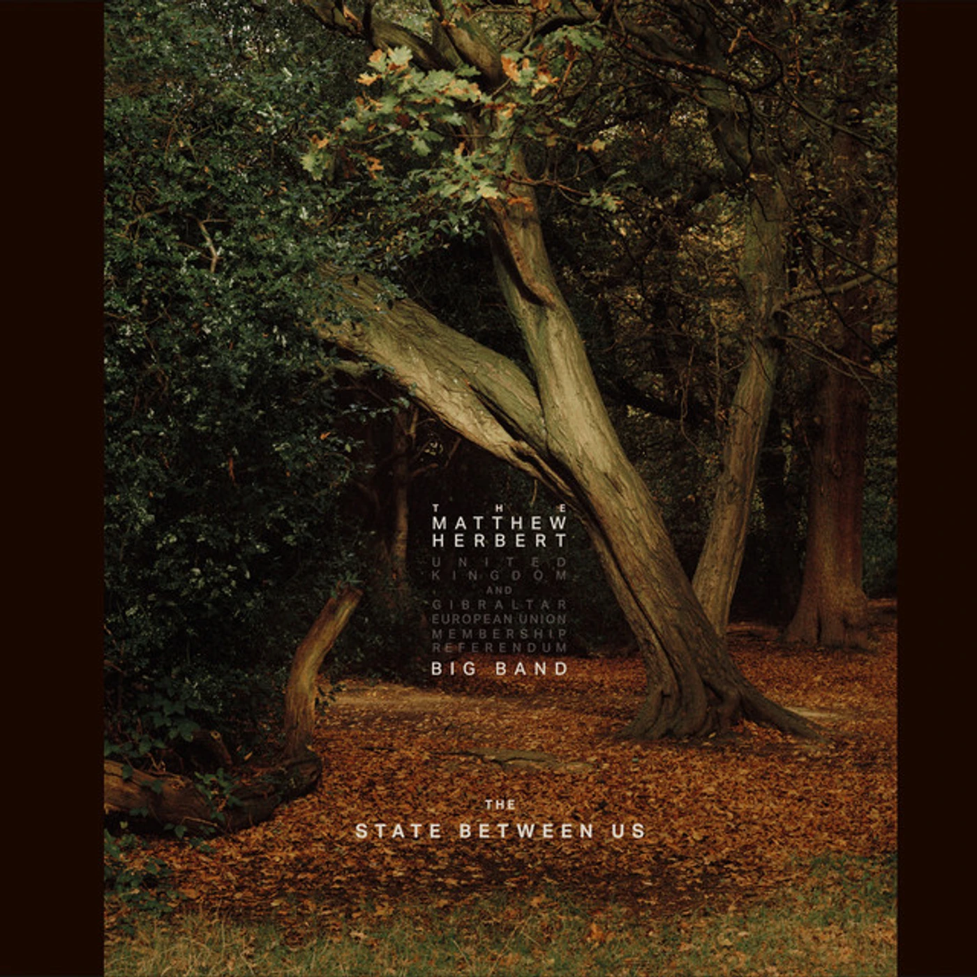 The Matthew Herbert Big Band STATE BETWEEN US CD