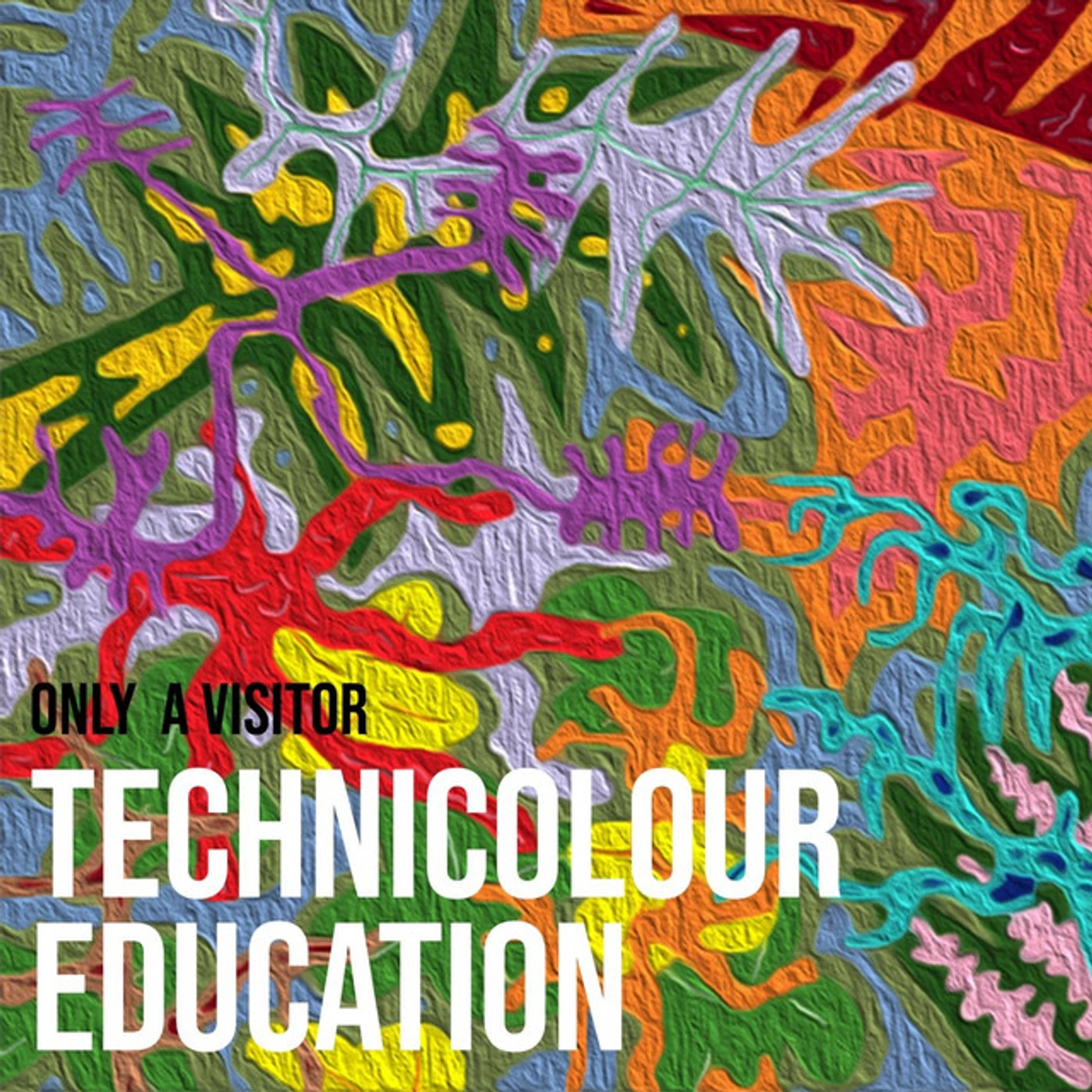 Only a Visitor TECHNICOLOUR EDUCATION CD