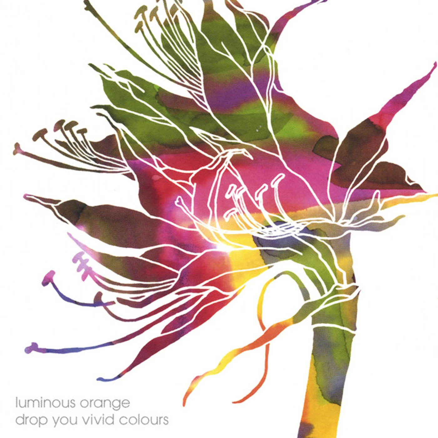 Luminous Orange DROP YOU VIVID COLOURS CD