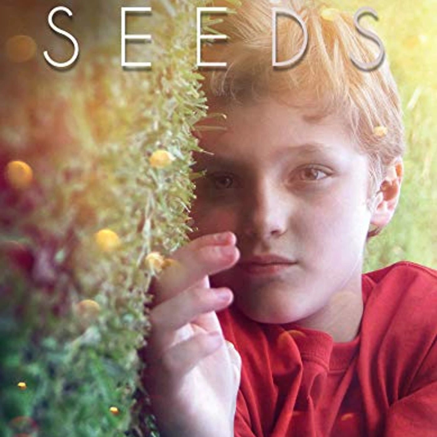 Seeds (CUERNAVACA) DVD