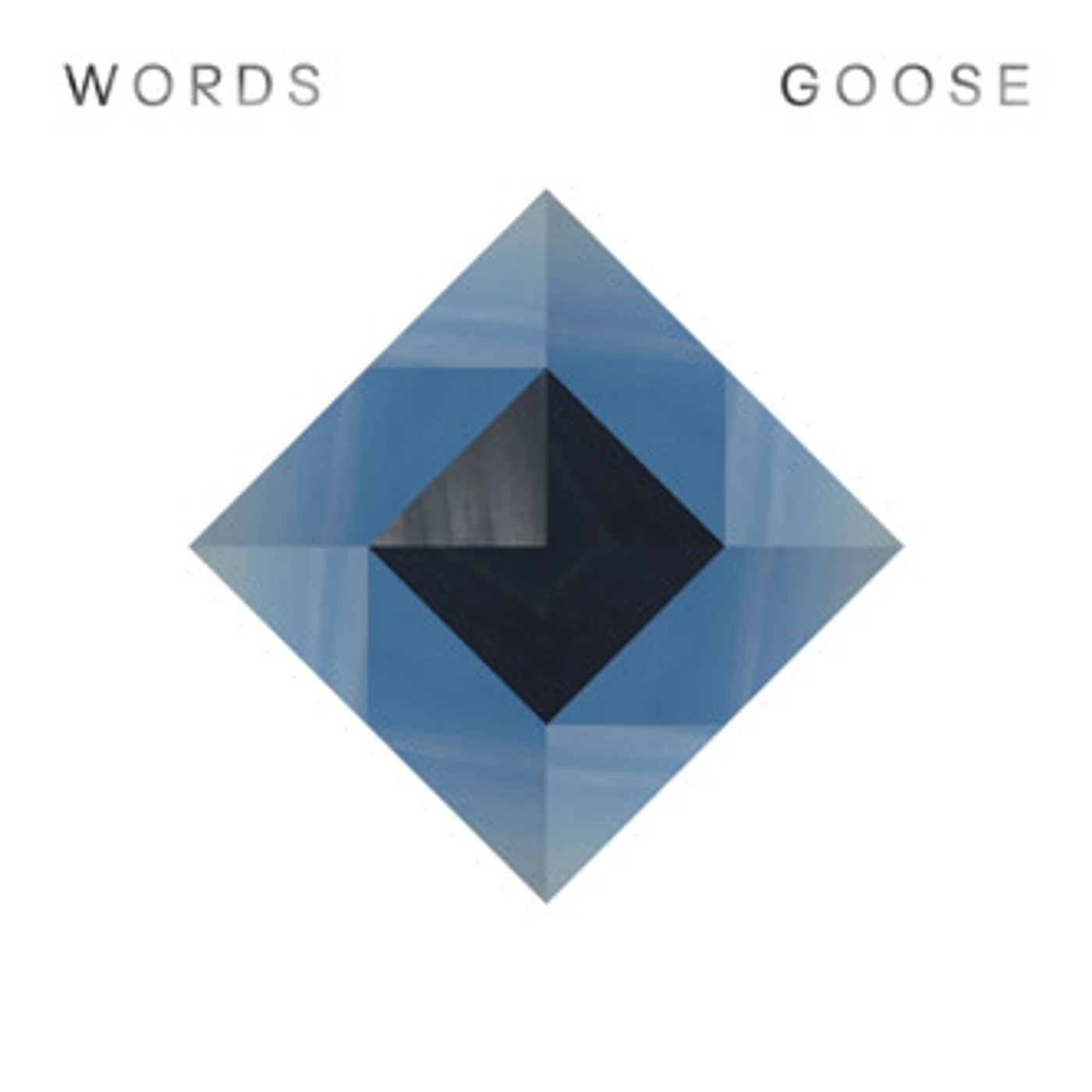 Goose Words Remixes Vinyl Record