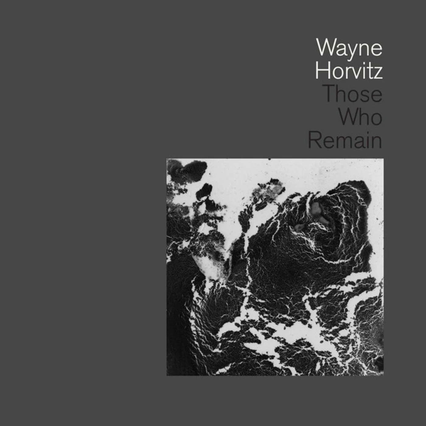 Wayne Horvitz THOSE WHO REMAIN CD