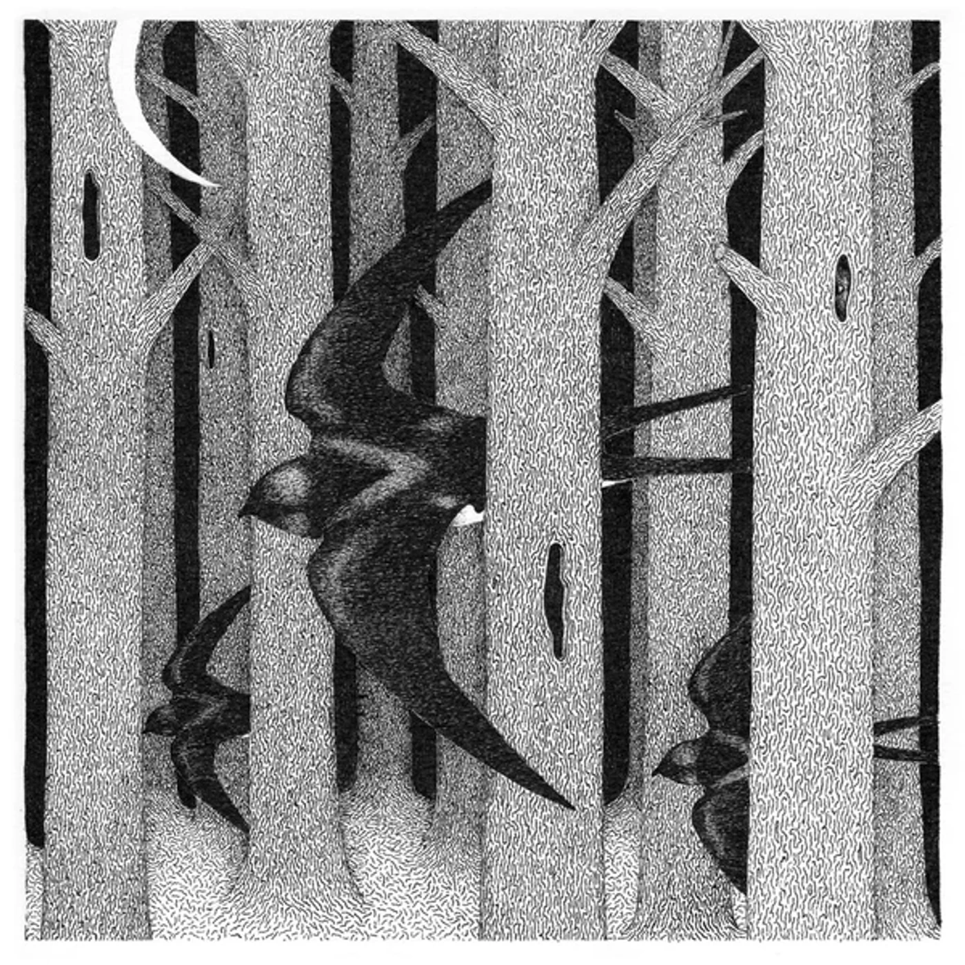 silk saw PARALLEL LANDSCAPES CD