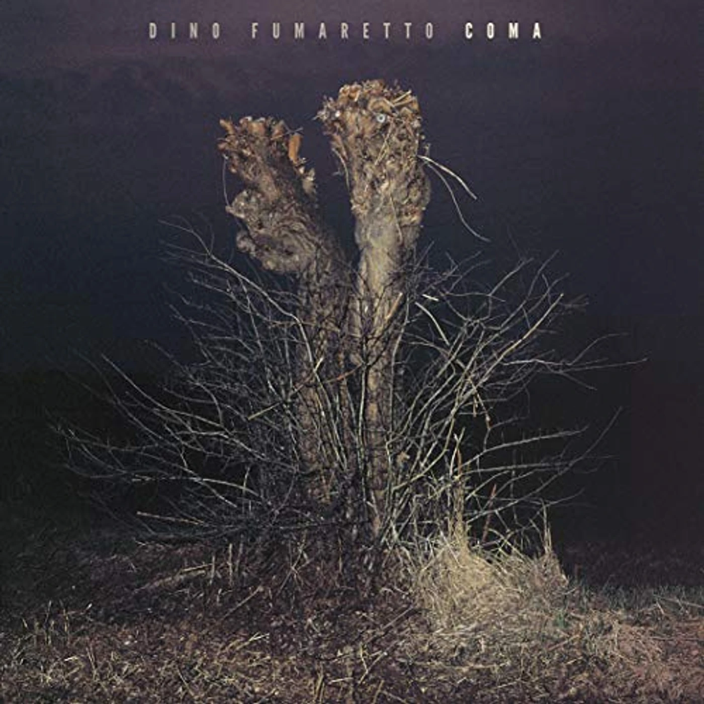 Dino Fumaretto Coma Vinyl Record