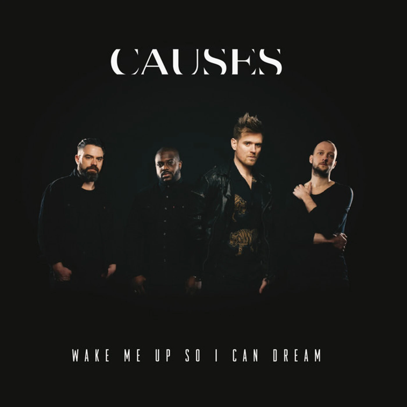 Causes WAKE ME UP SO I CAN DREAM CD