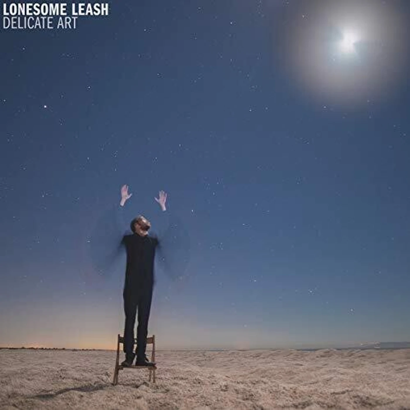 Lonesome Leash Delicate Art Vinyl Record